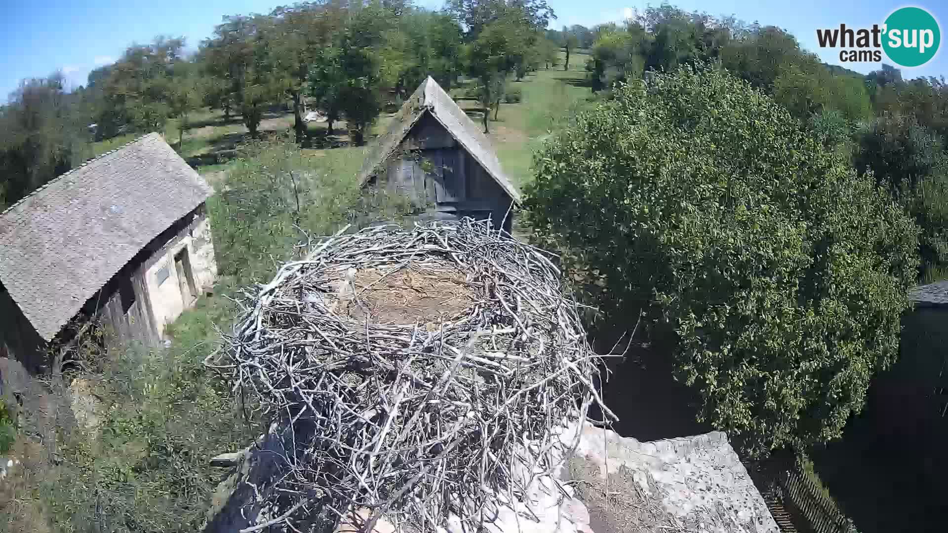 U živo Europsko selo roda – Park prirode Lonjsko polje