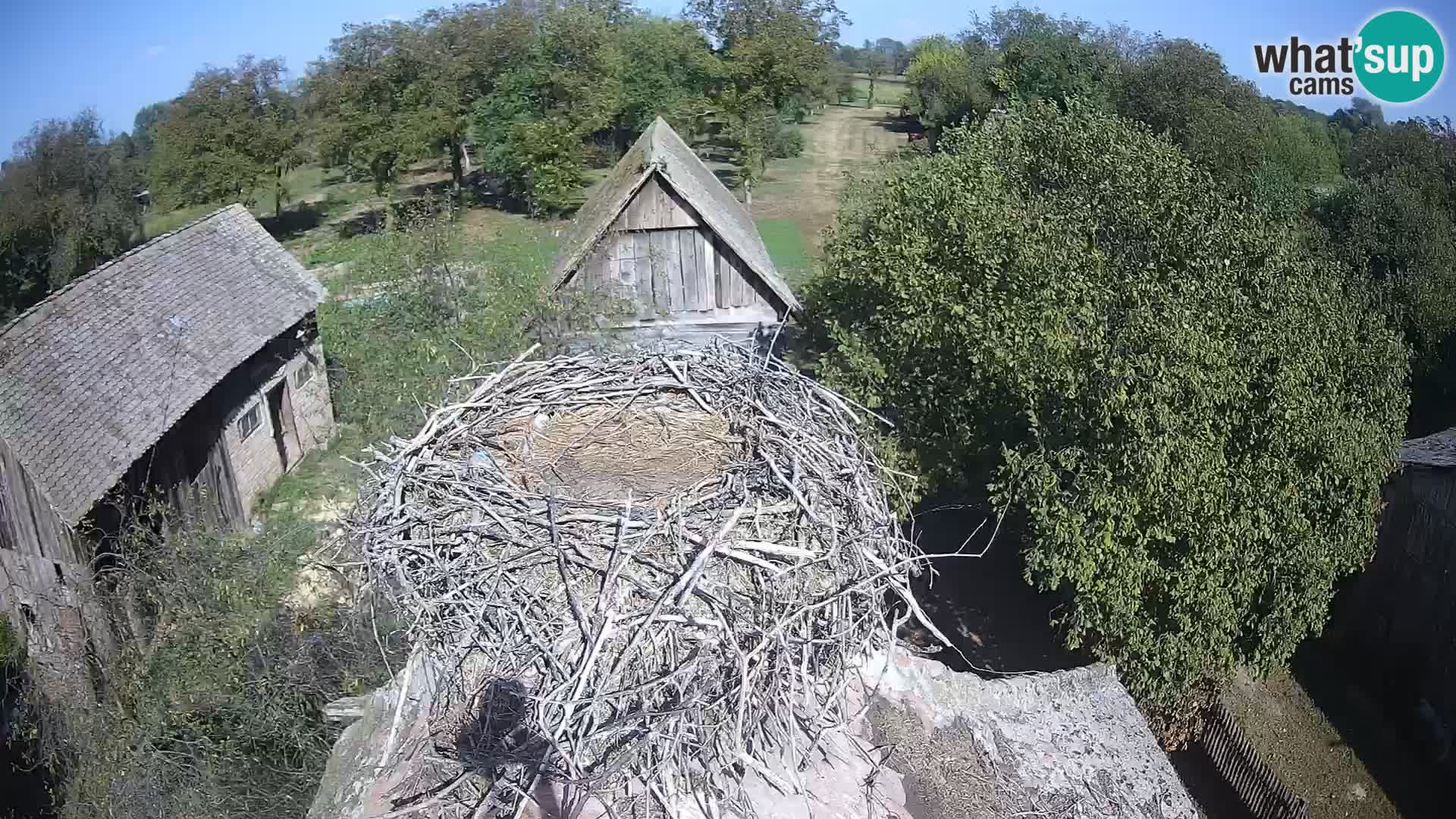 U živo Europsko selo roda – Park prirode Lonjsko polje