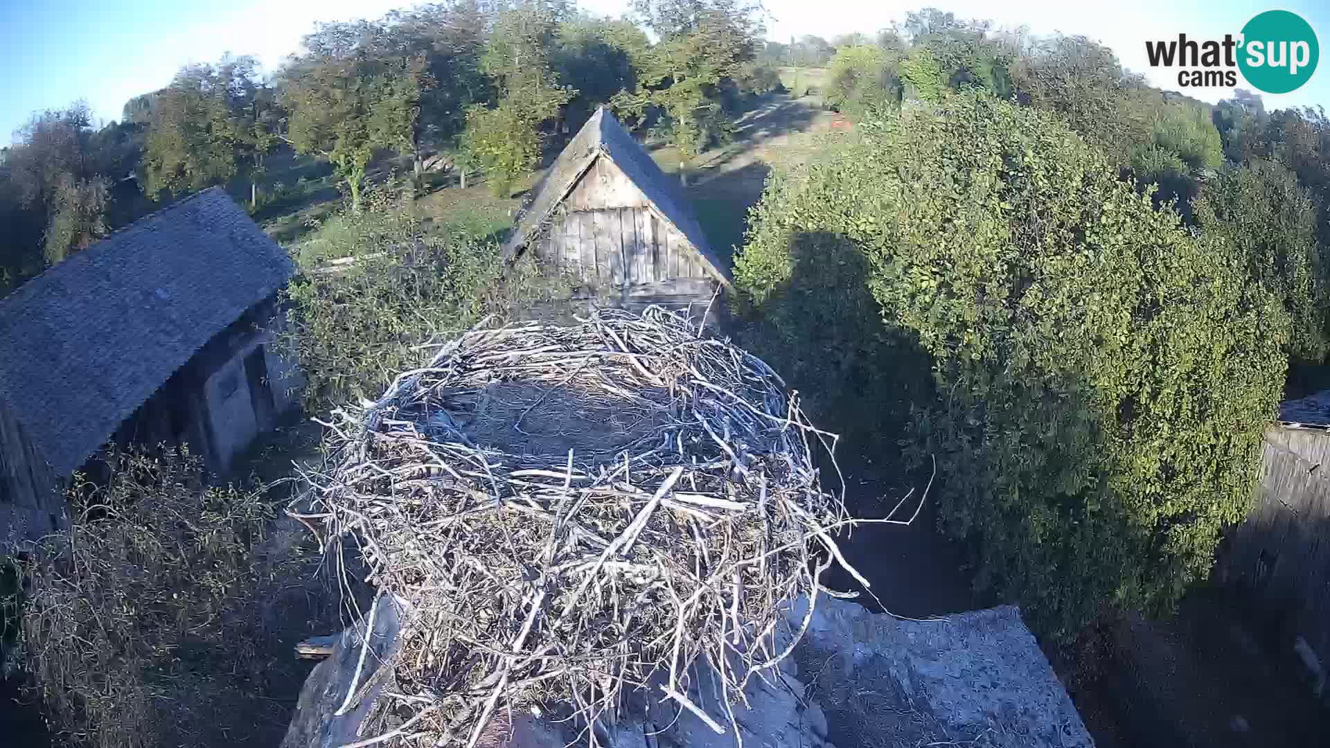 U živo Europsko selo roda – Park prirode Lonjsko polje