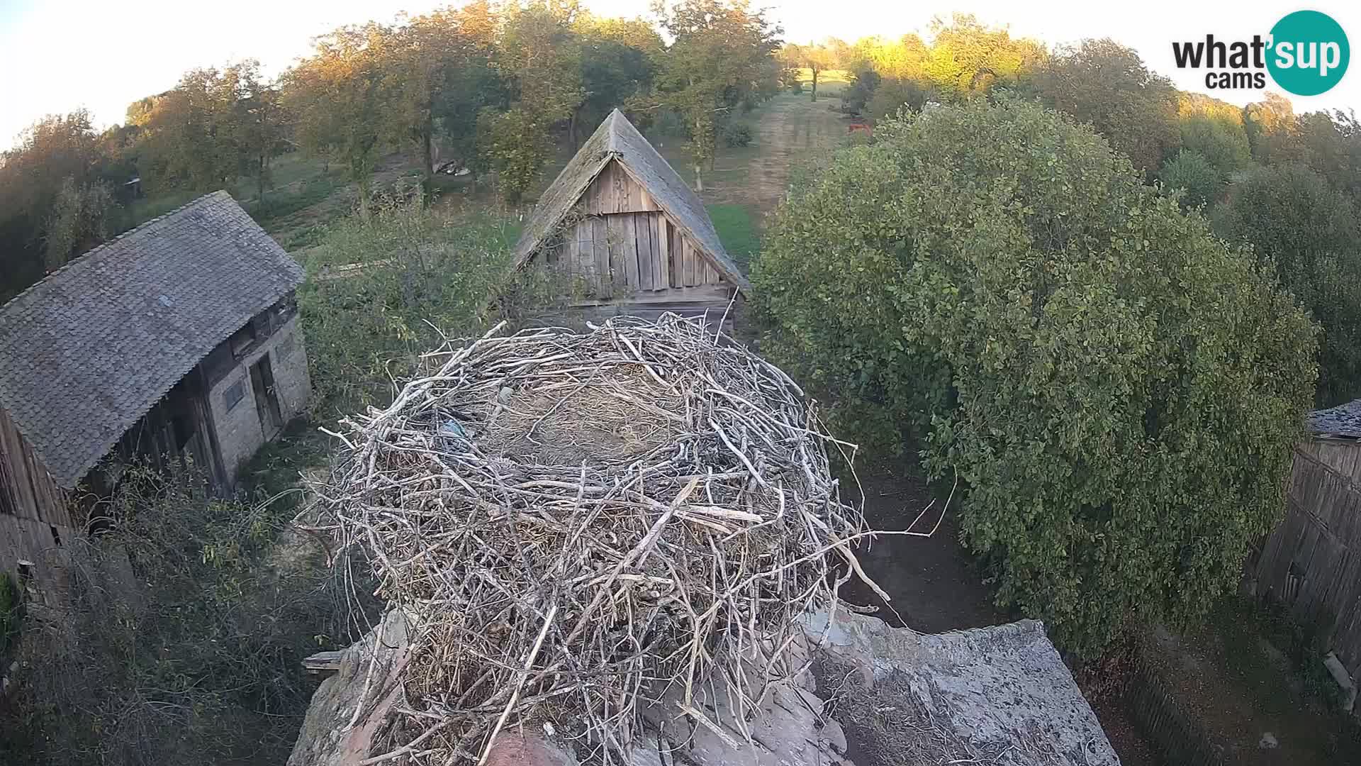 U živo Europsko selo roda – Park prirode Lonjsko polje