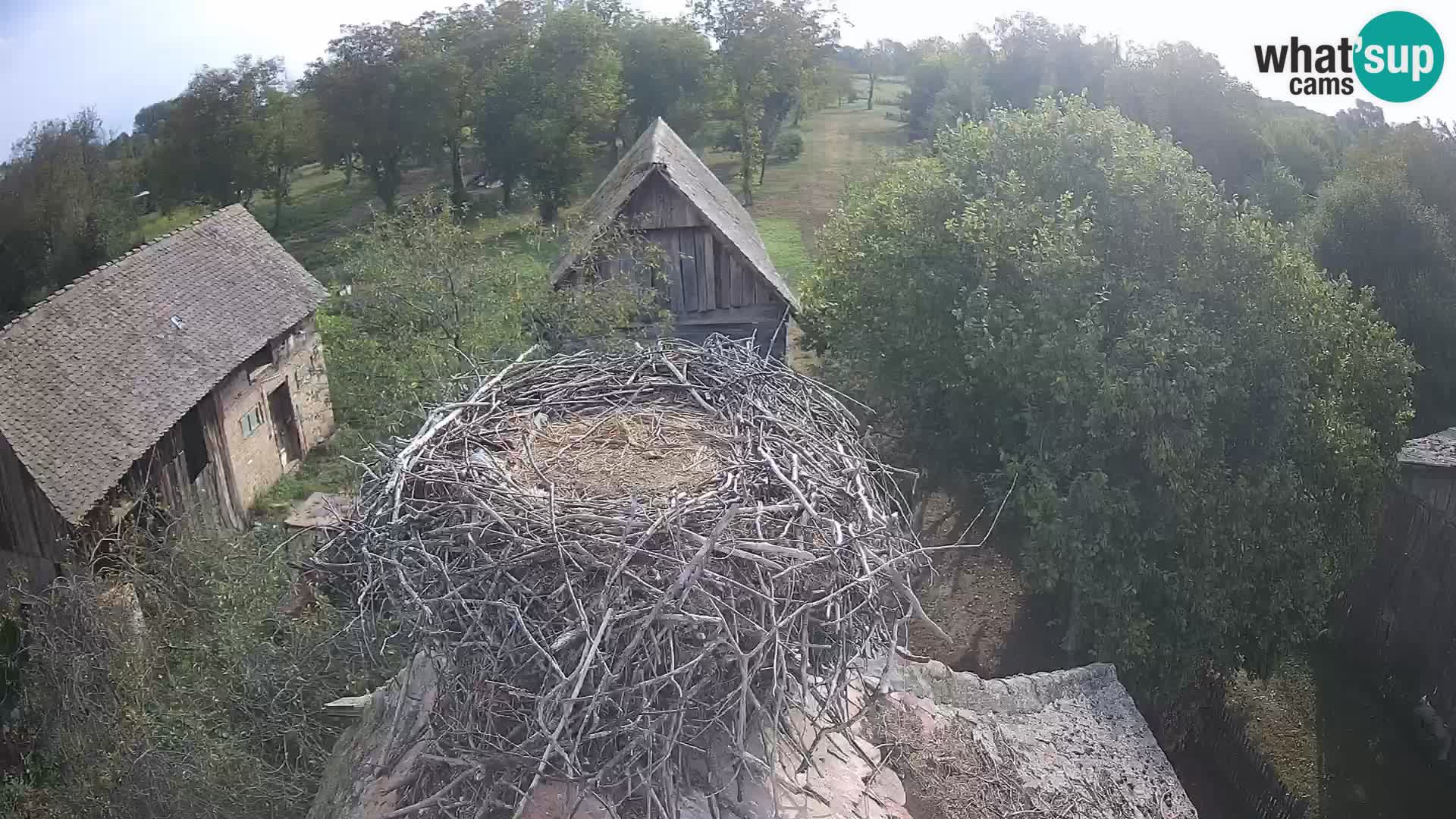 U živo Europsko selo roda – Park prirode Lonjsko polje