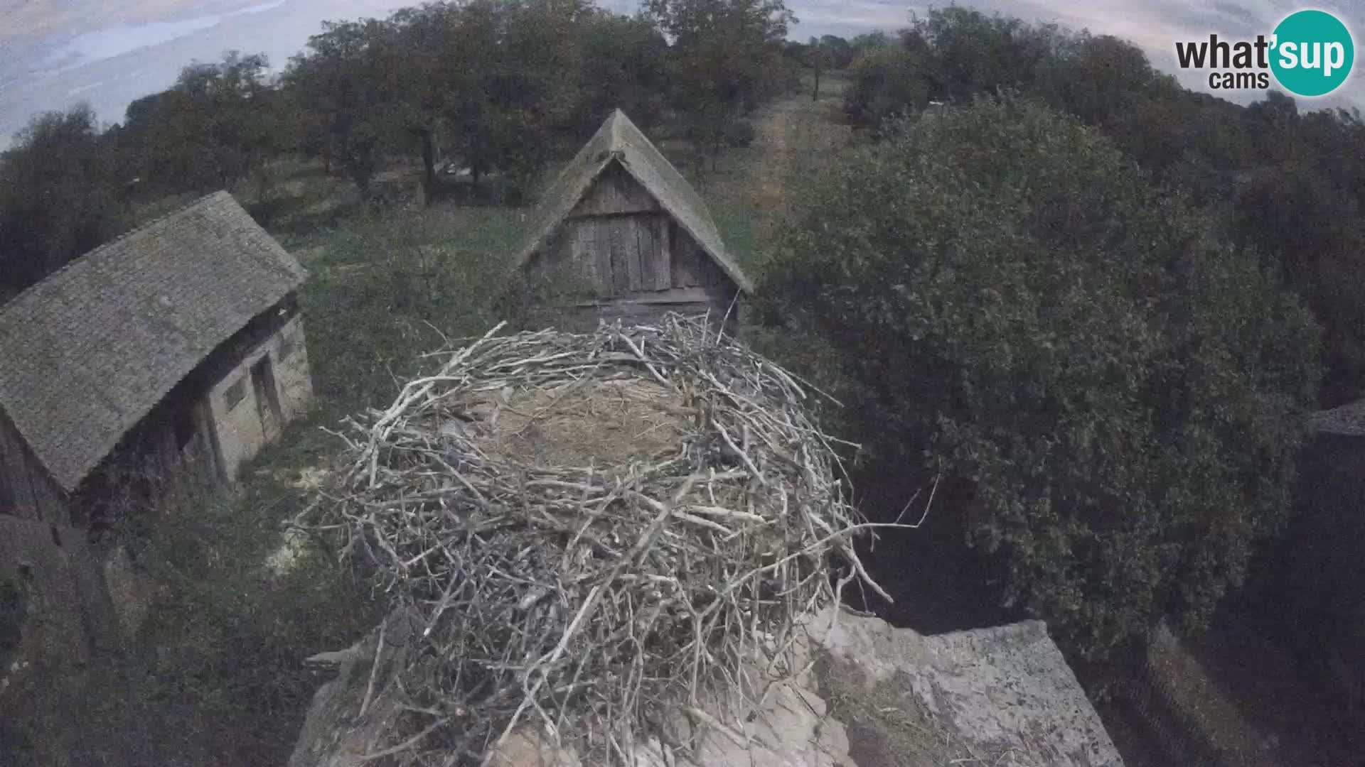 U živo Europsko selo roda – Park prirode Lonjsko polje