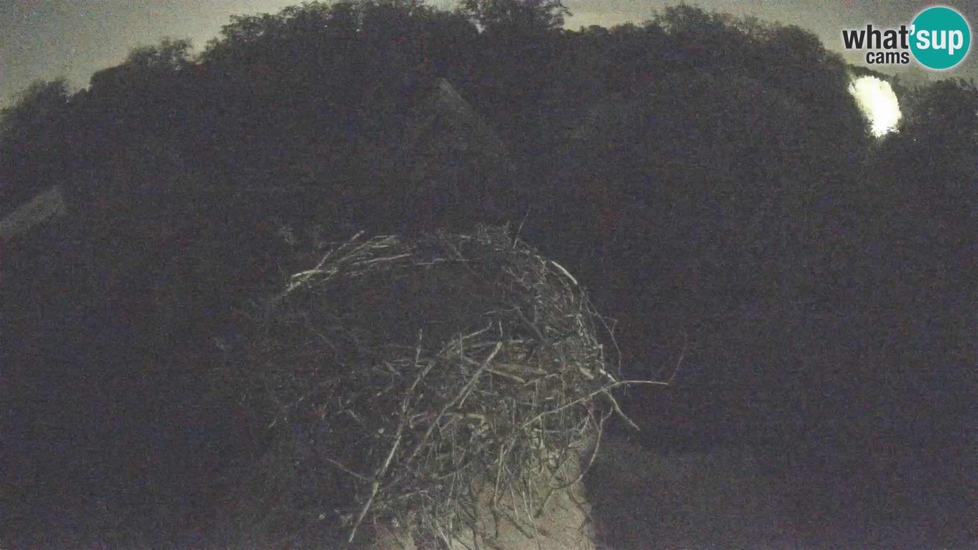 U živo Europsko selo roda – Park prirode Lonjsko polje
