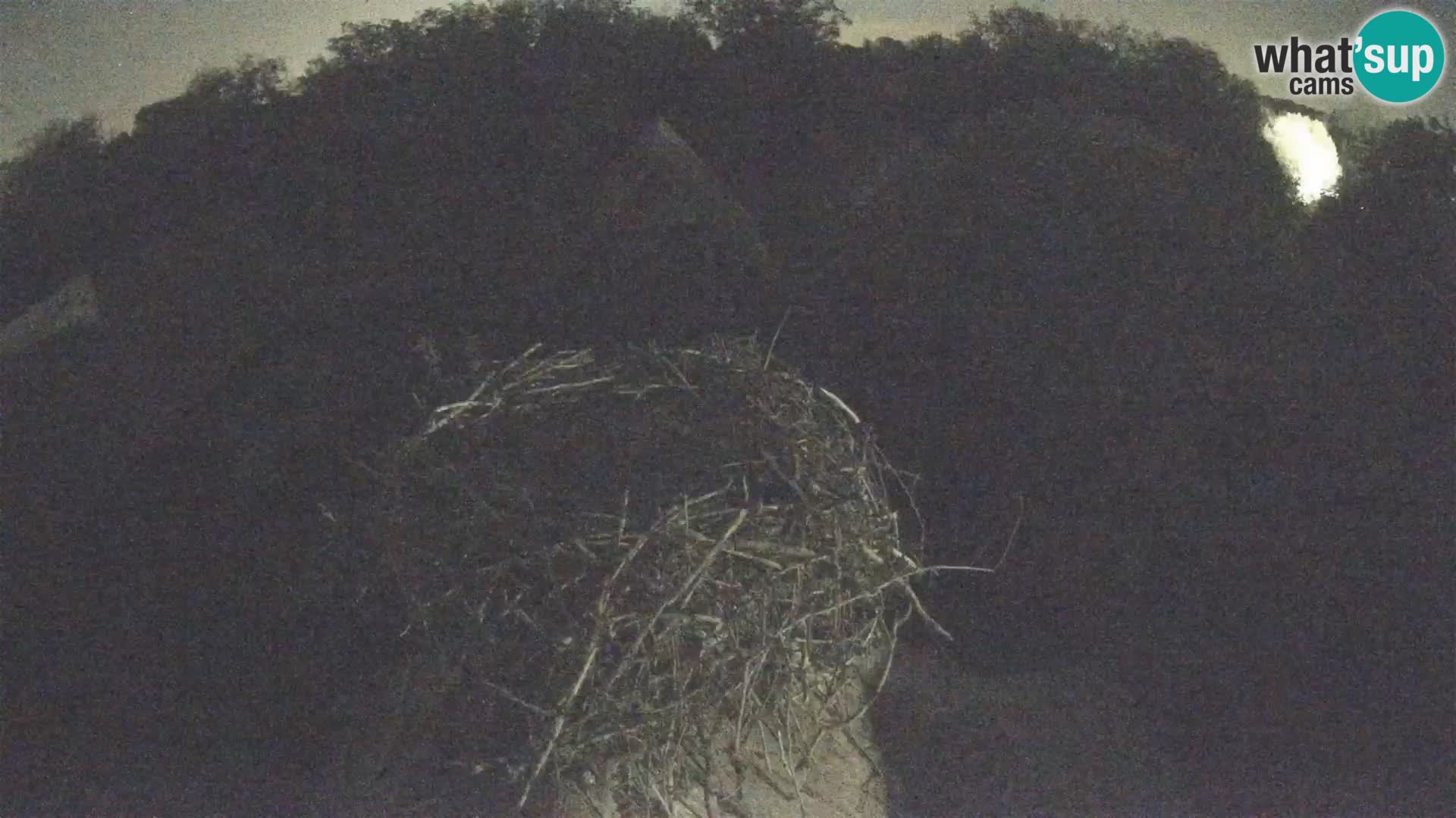 U živo Europsko selo roda – Park prirode Lonjsko polje