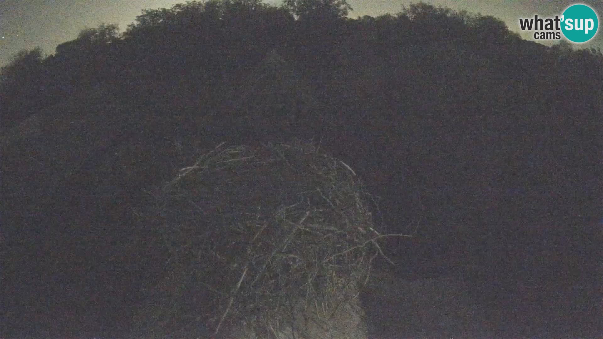 U živo Europsko selo roda – Park prirode Lonjsko polje