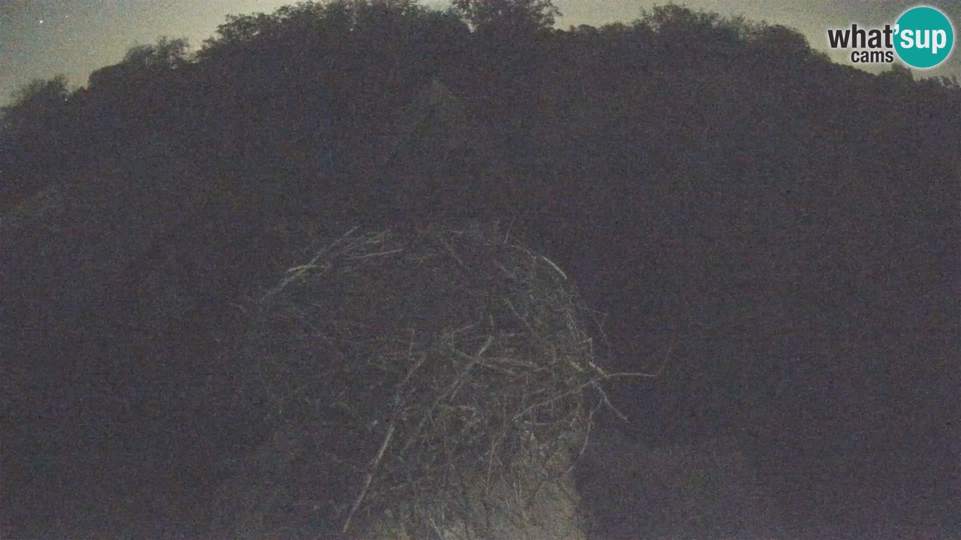 U živo Europsko selo roda – Park prirode Lonjsko polje