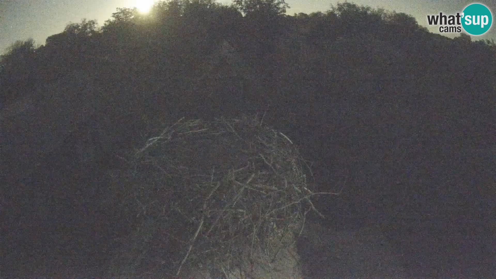 Webcam Europäisches Storchendorf – Naturpark Lonjsko polje