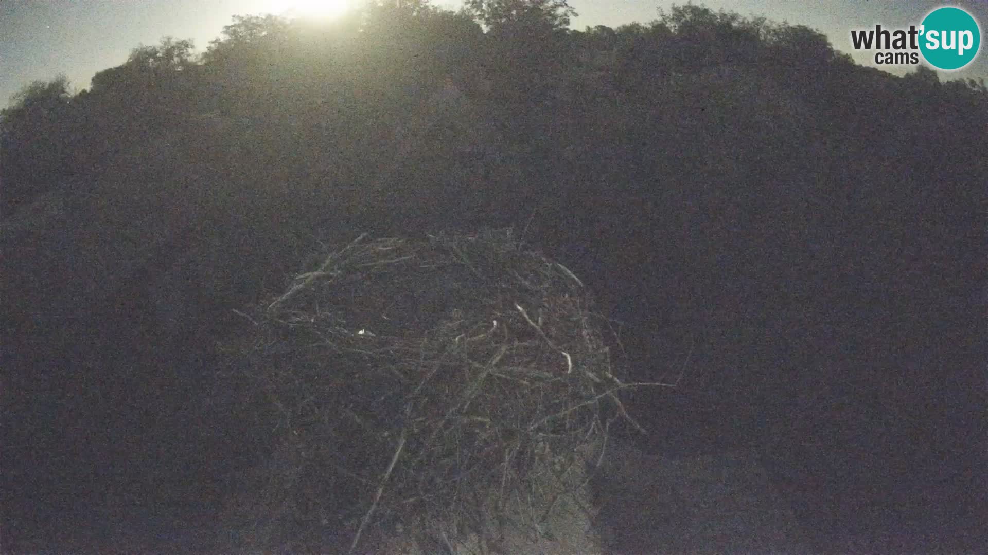 U živo Europsko selo roda – Park prirode Lonjsko polje