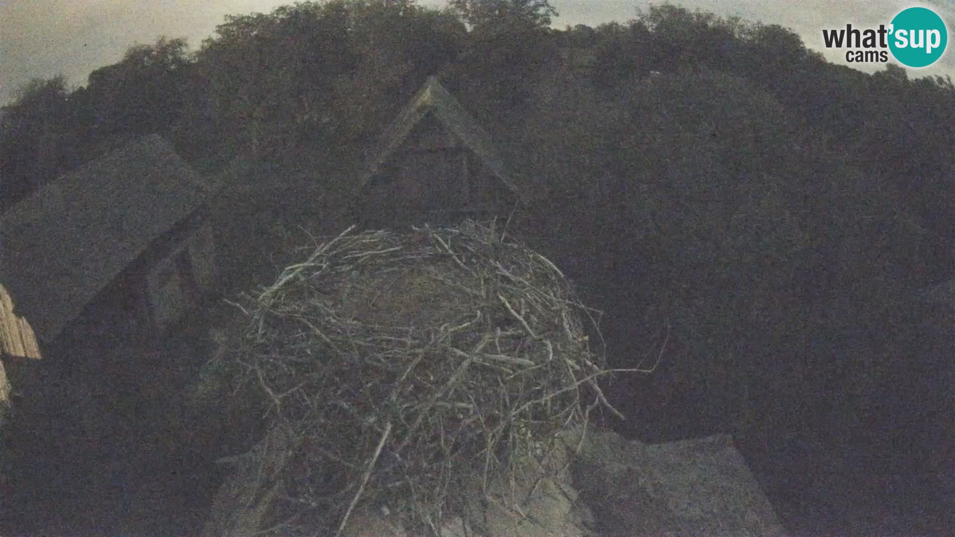 U živo Europsko selo roda – Park prirode Lonjsko polje