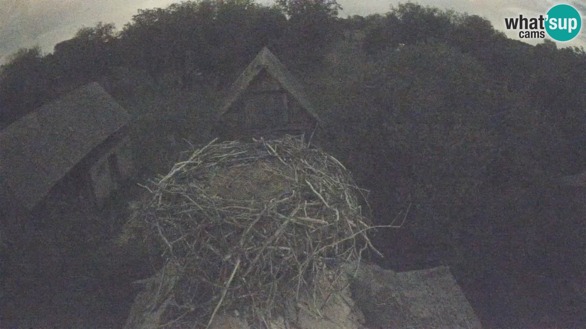 U živo Europsko selo roda – Park prirode Lonjsko polje