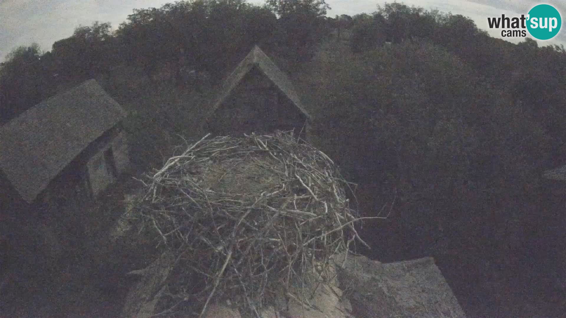 U živo Europsko selo roda – Park prirode Lonjsko polje