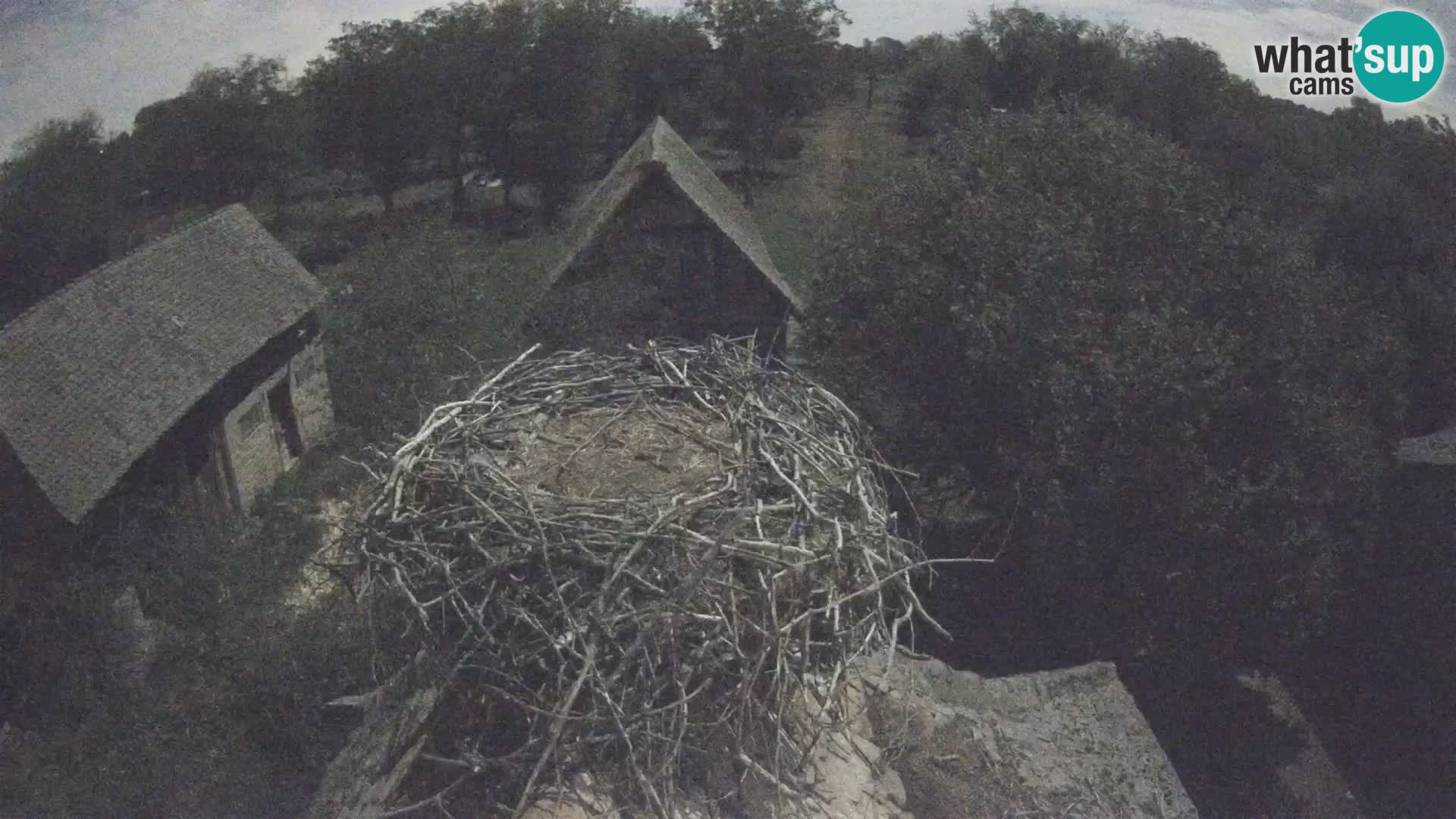 Webcam Europäisches Storchendorf – Naturpark Lonjsko polje