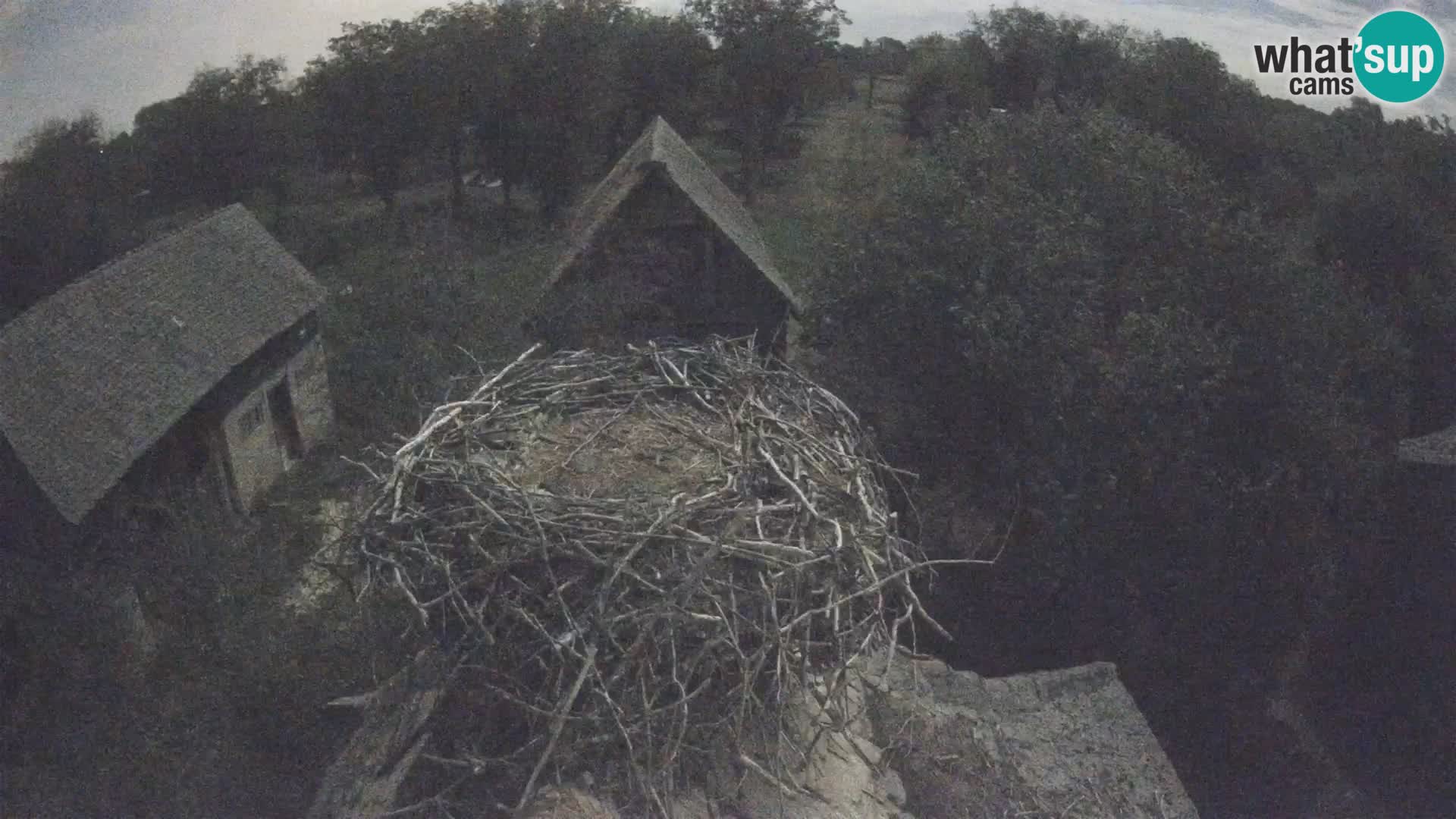 Webcam Europäisches Storchendorf – Naturpark Lonjsko polje