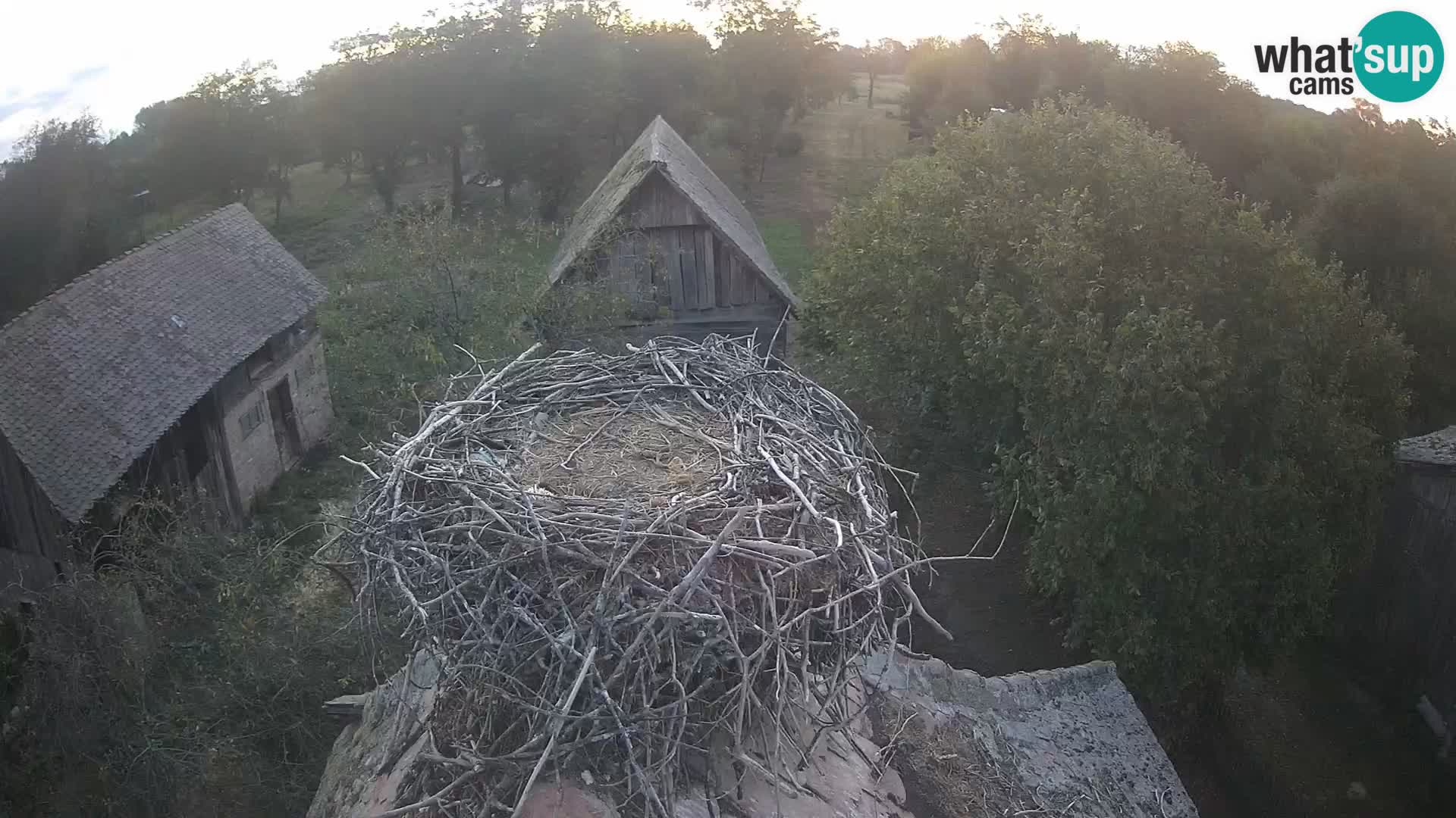 U živo Europsko selo roda – Park prirode Lonjsko polje