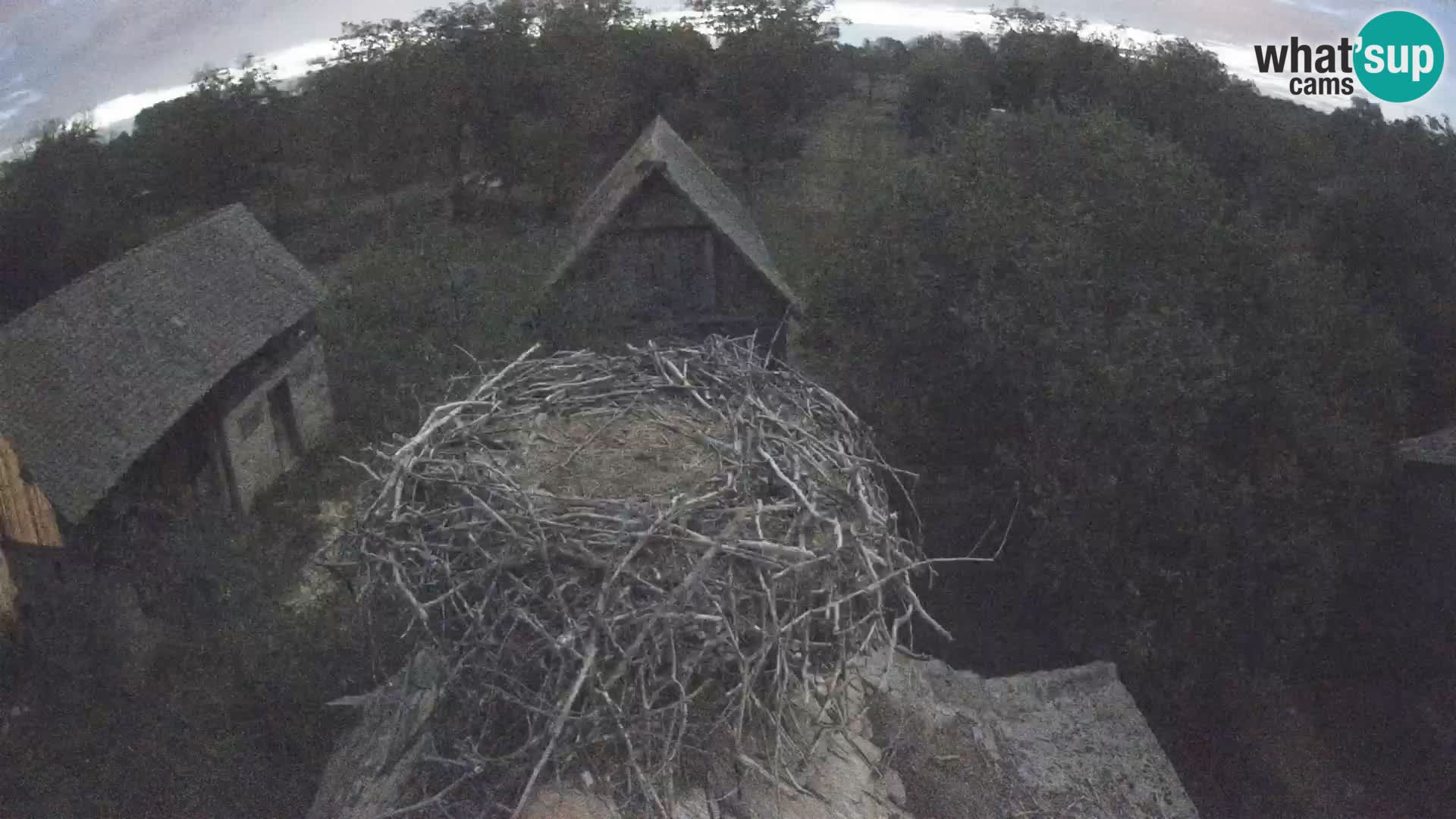 U živo Europsko selo roda – Park prirode Lonjsko polje