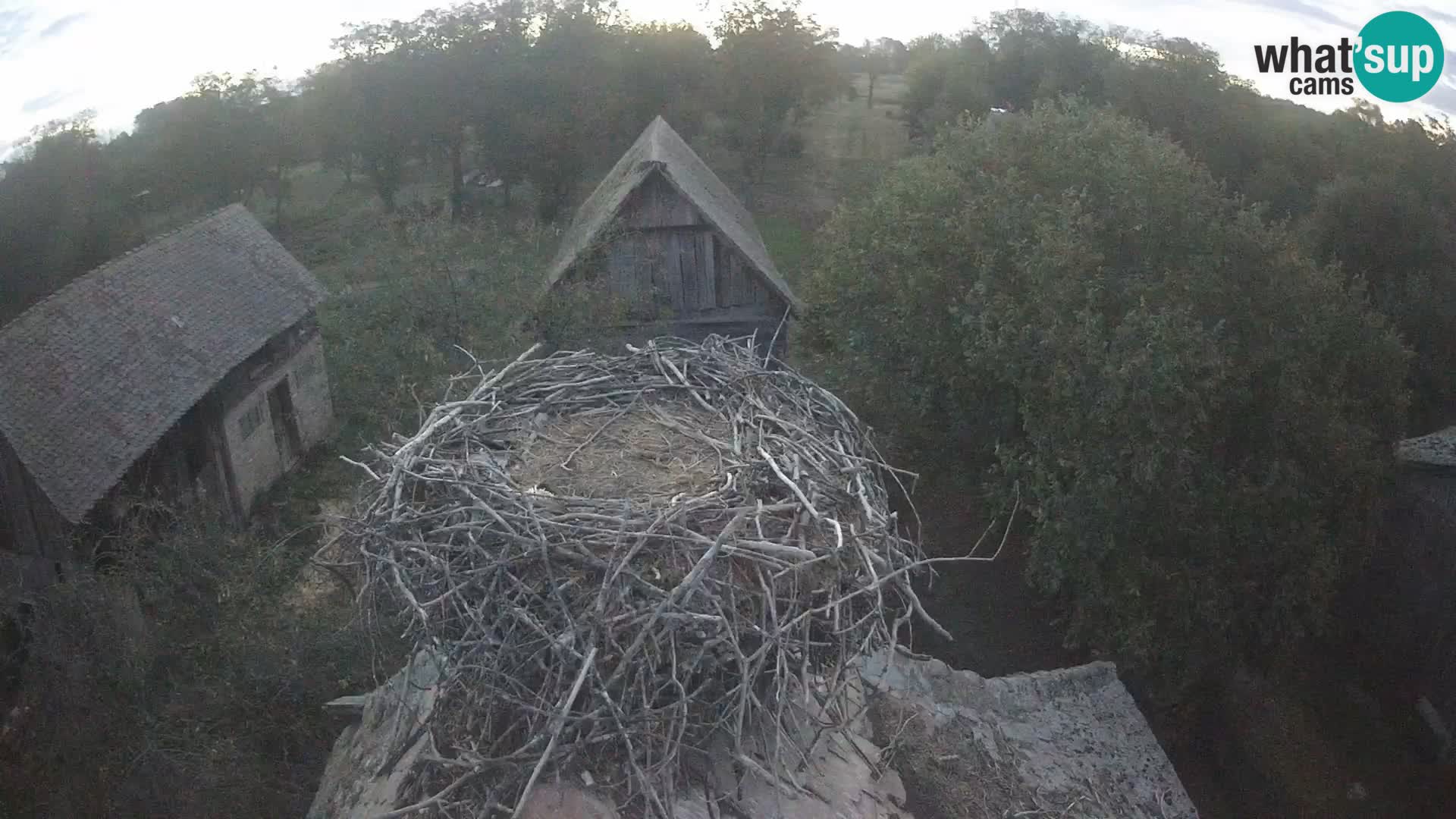 Webcam Europäisches Storchendorf – Naturpark Lonjsko polje