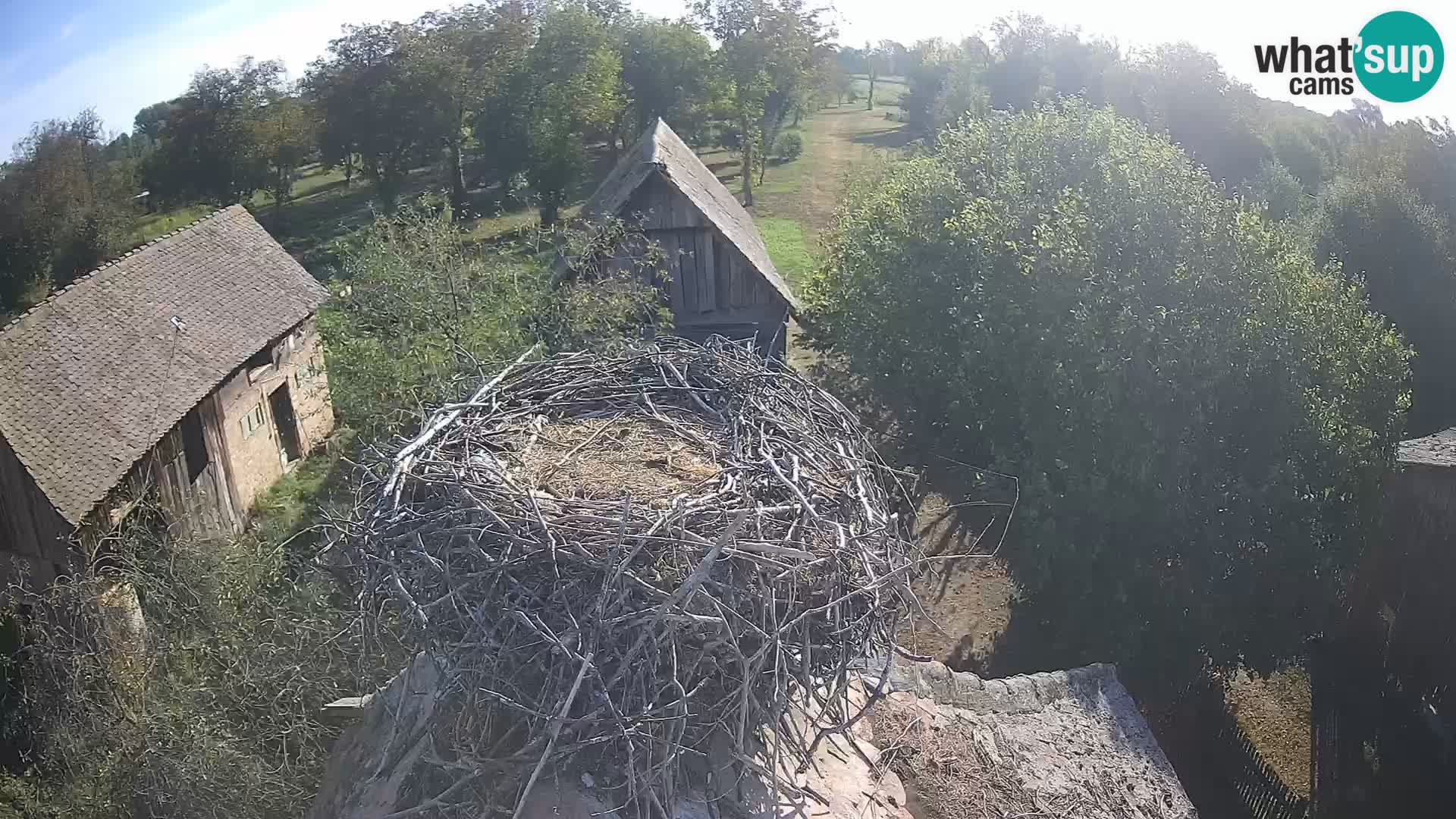 Webcam Europäisches Storchendorf – Naturpark Lonjsko polje
