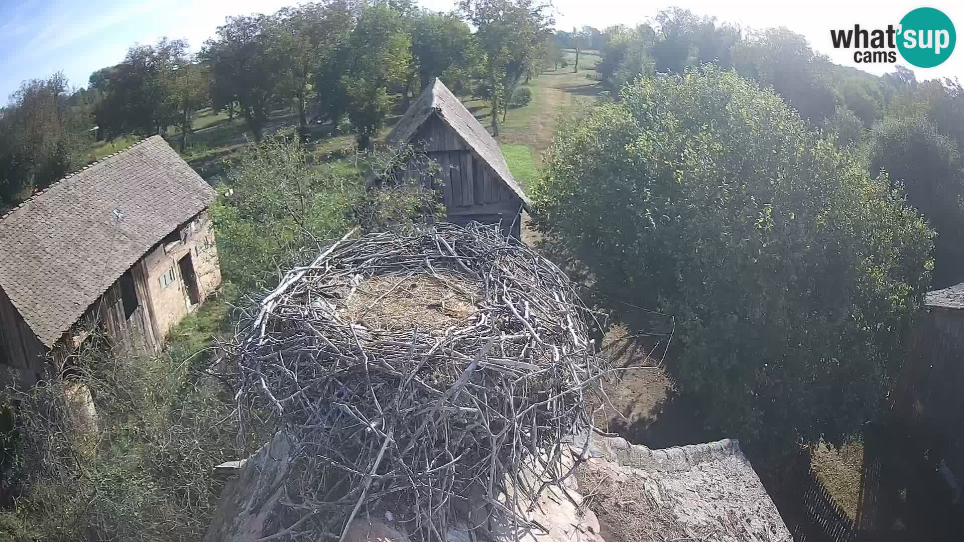 U živo Europsko selo roda – Park prirode Lonjsko polje