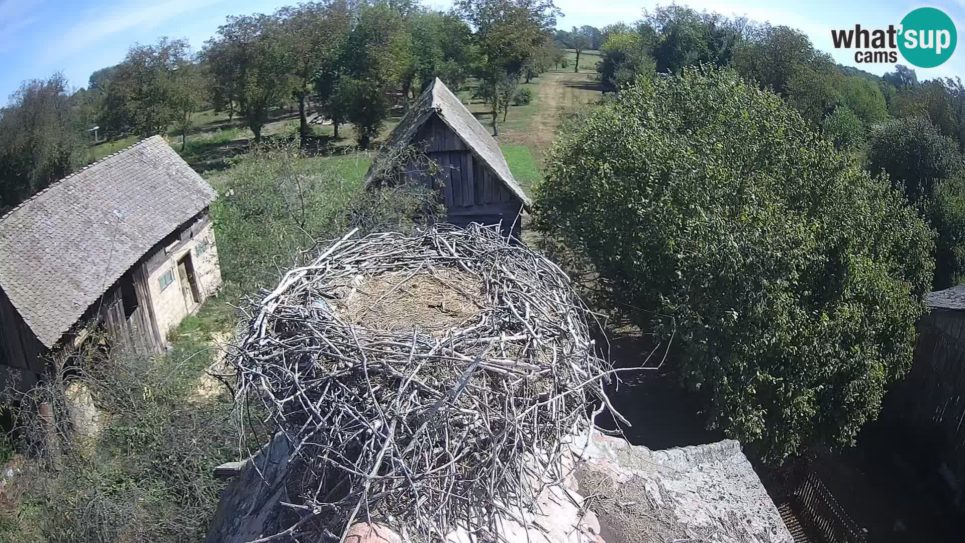 U živo Europsko selo roda – Park prirode Lonjsko polje