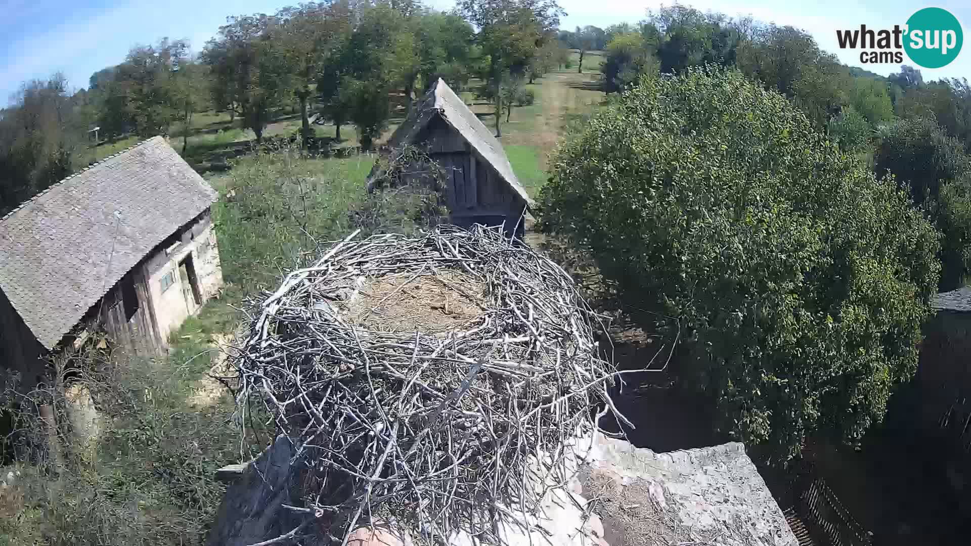 U živo Europsko selo roda – Park prirode Lonjsko polje