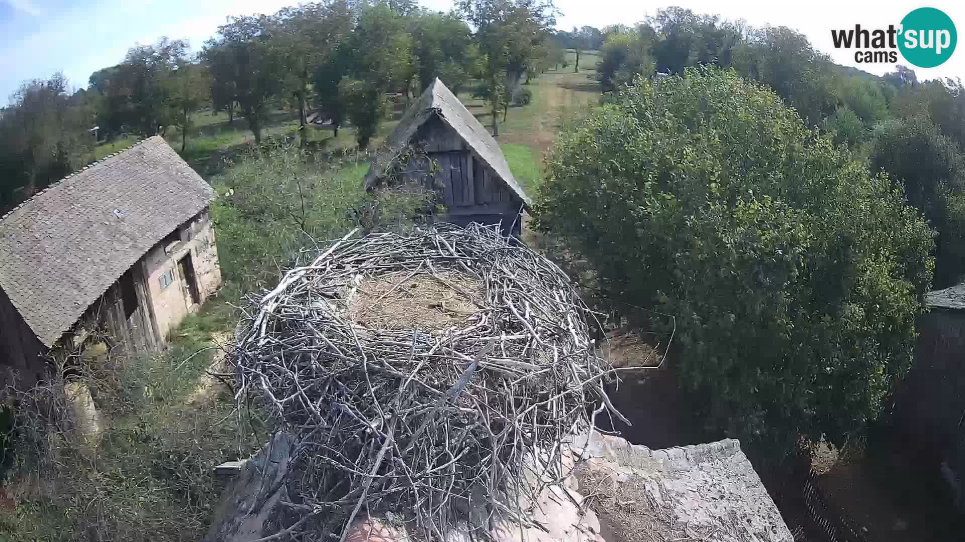 U živo Europsko selo roda – Park prirode Lonjsko polje
