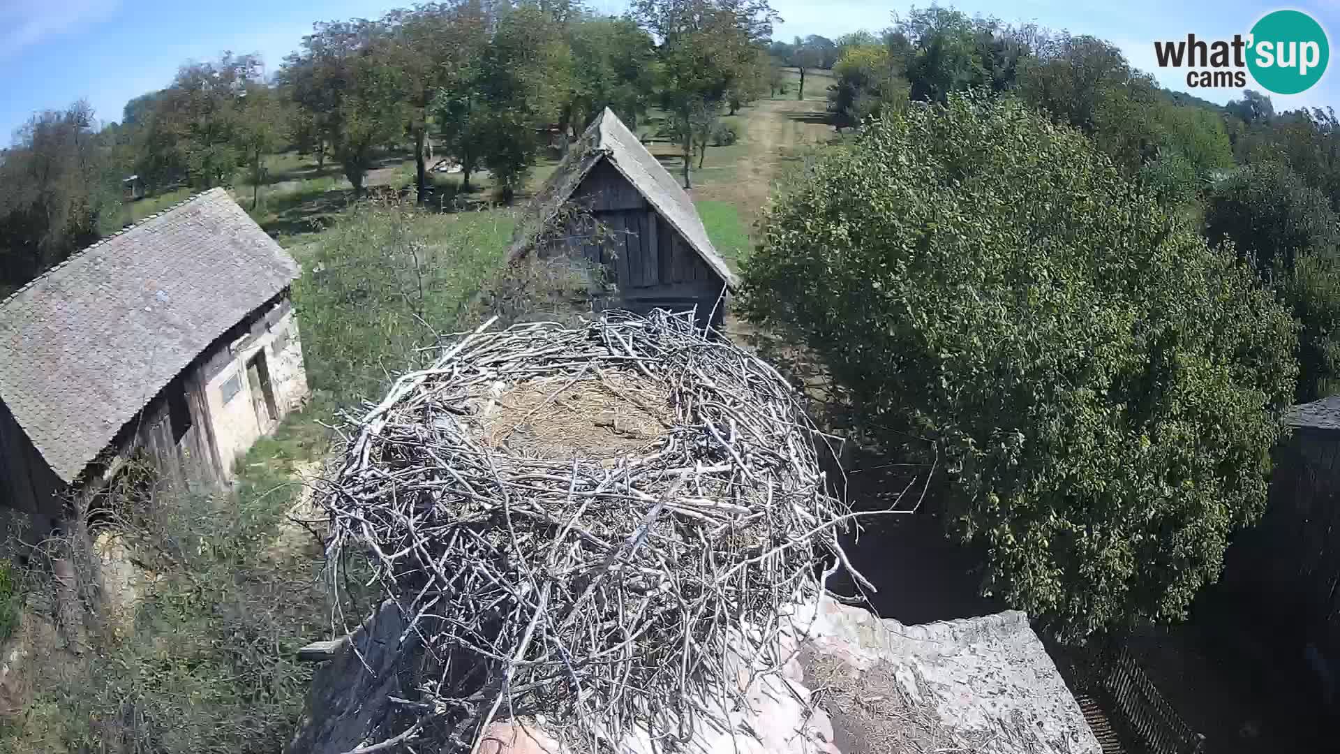 U živo Europsko selo roda – Park prirode Lonjsko polje