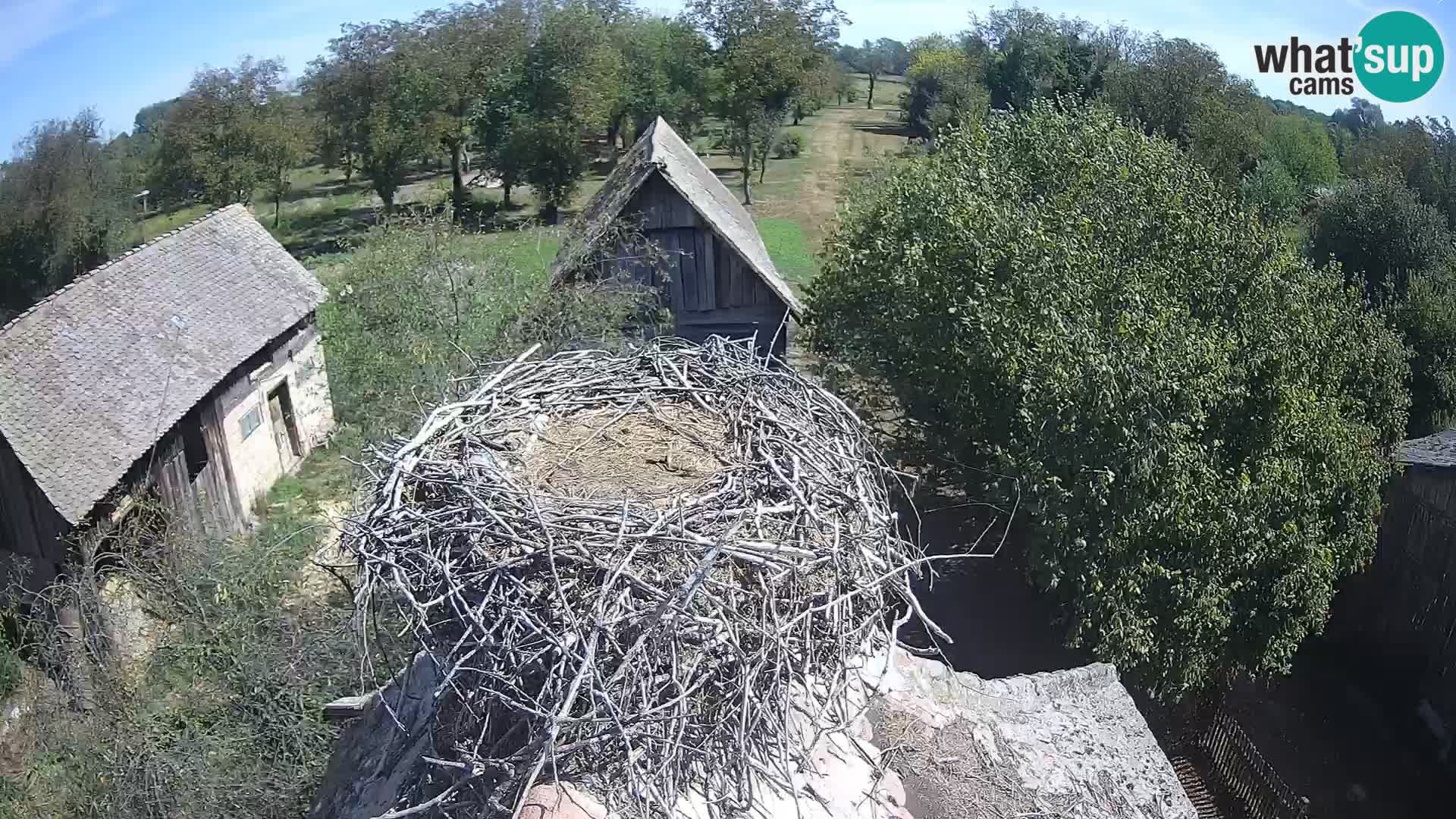 U živo Europsko selo roda – Park prirode Lonjsko polje