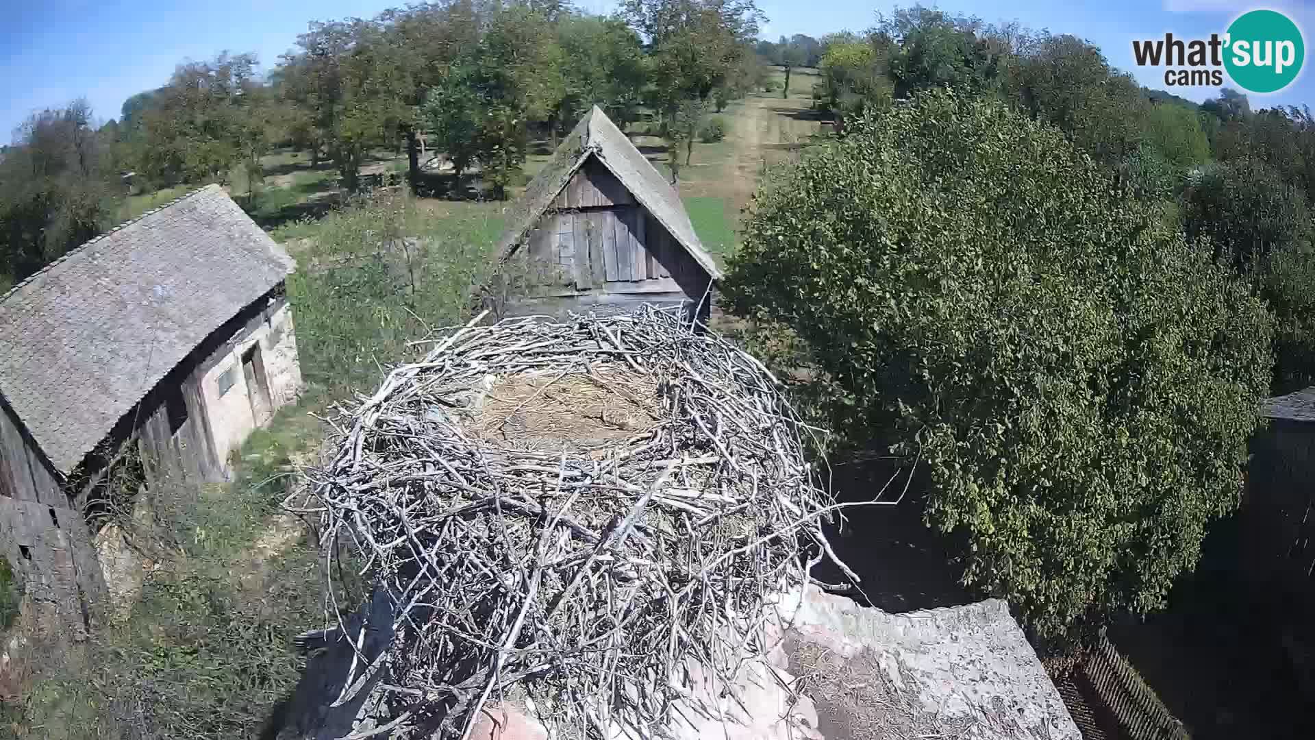 U živo Europsko selo roda – Park prirode Lonjsko polje