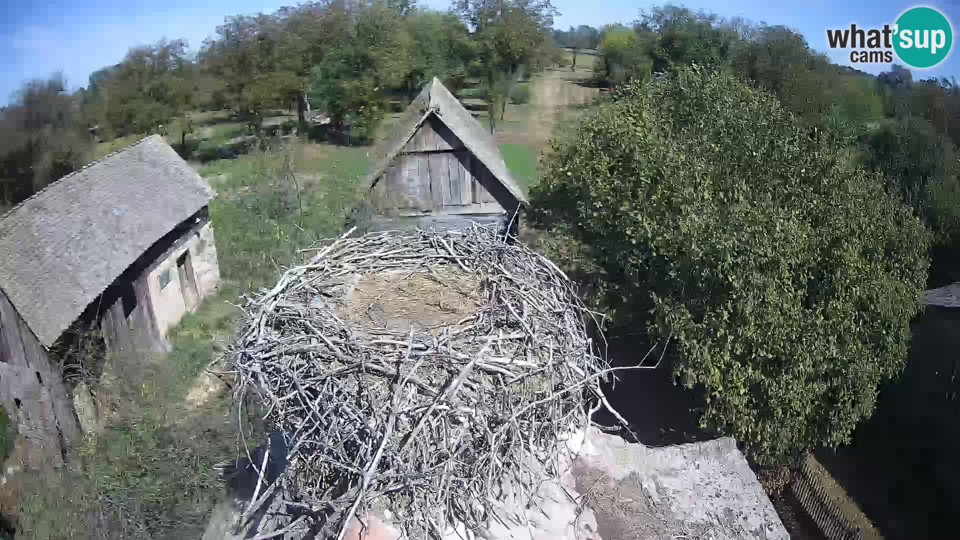 U živo Europsko selo roda – Park prirode Lonjsko polje