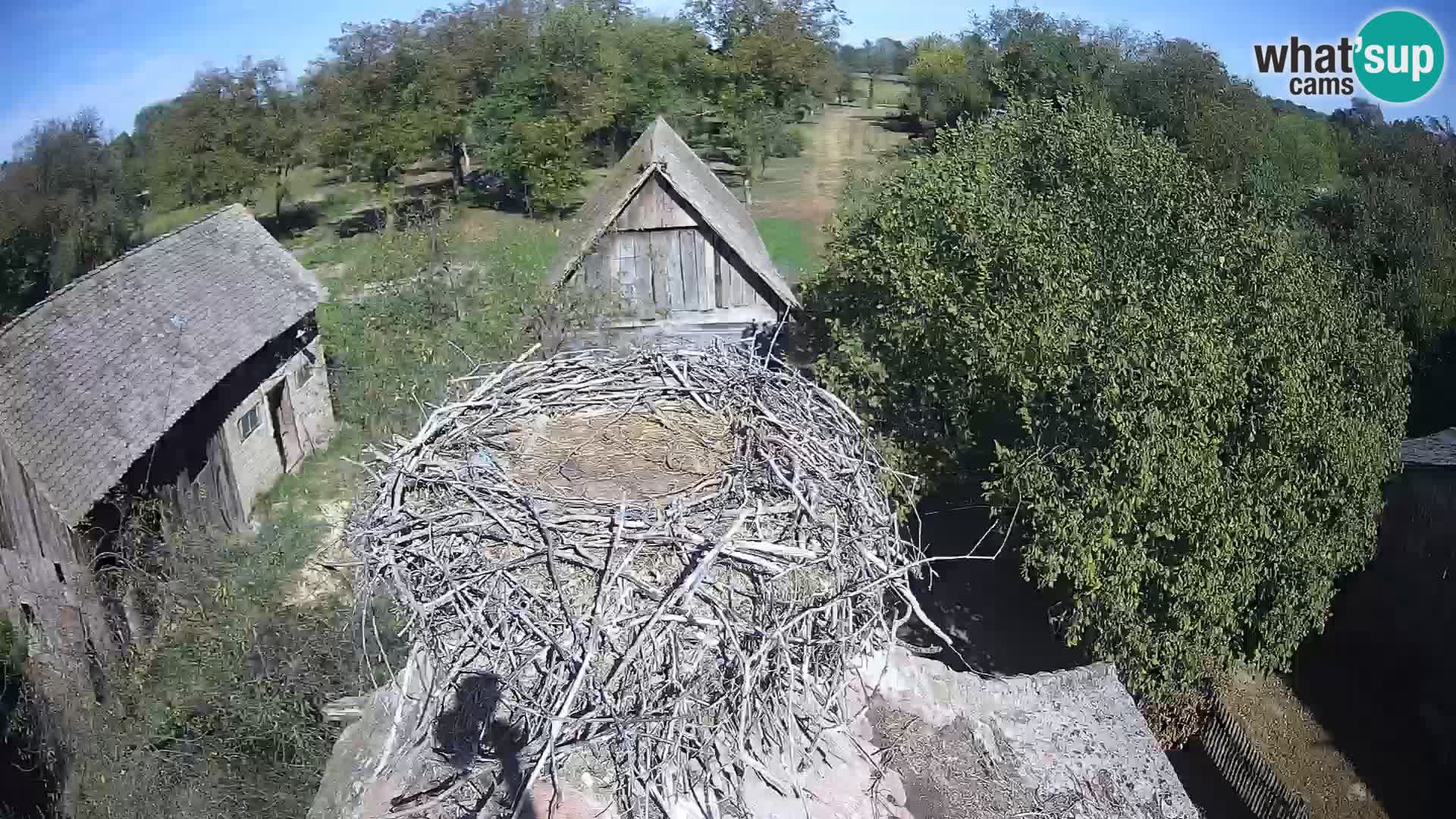 U živo Europsko selo roda – Park prirode Lonjsko polje