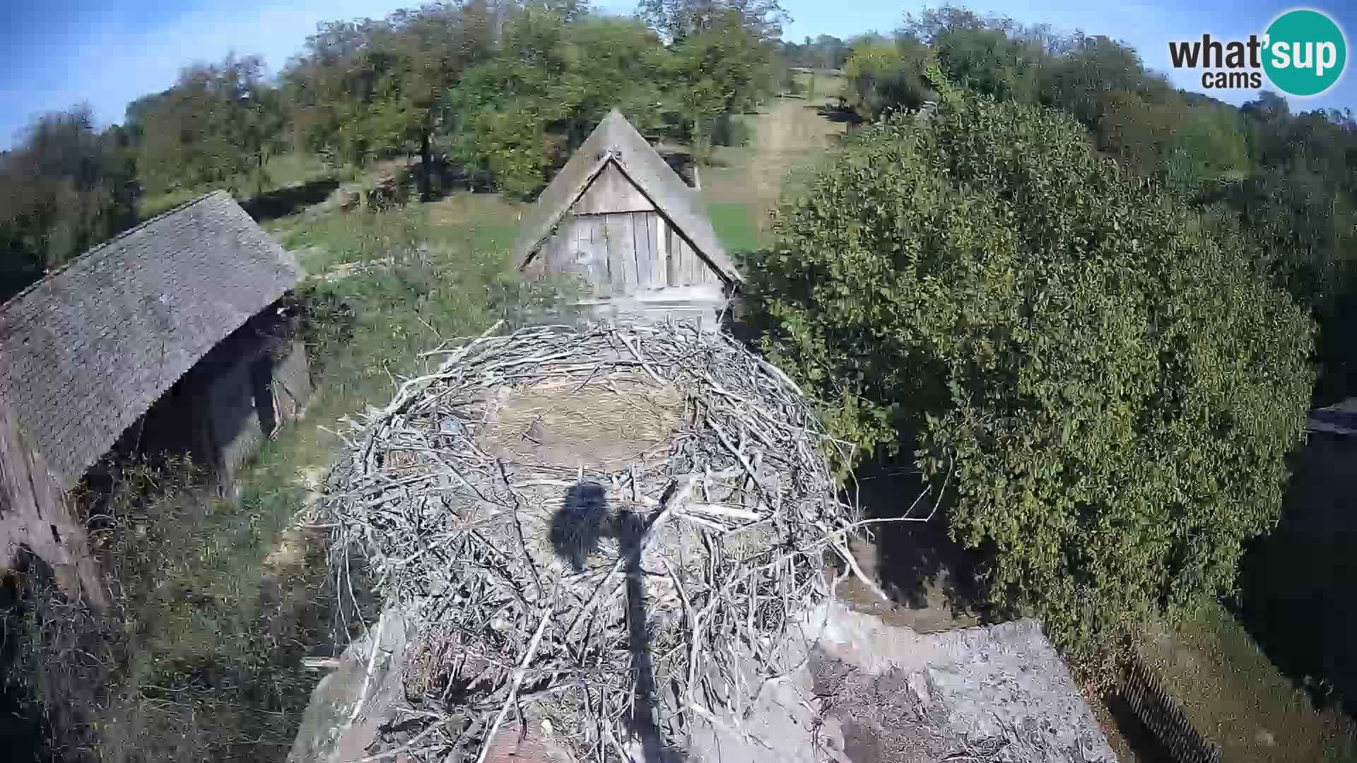 U živo Europsko selo roda – Park prirode Lonjsko polje