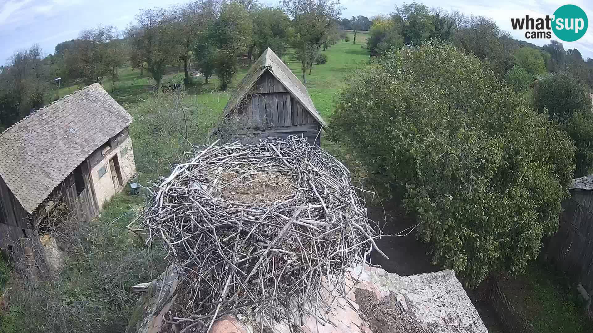 U živo Europsko selo roda – Park prirode Lonjsko polje