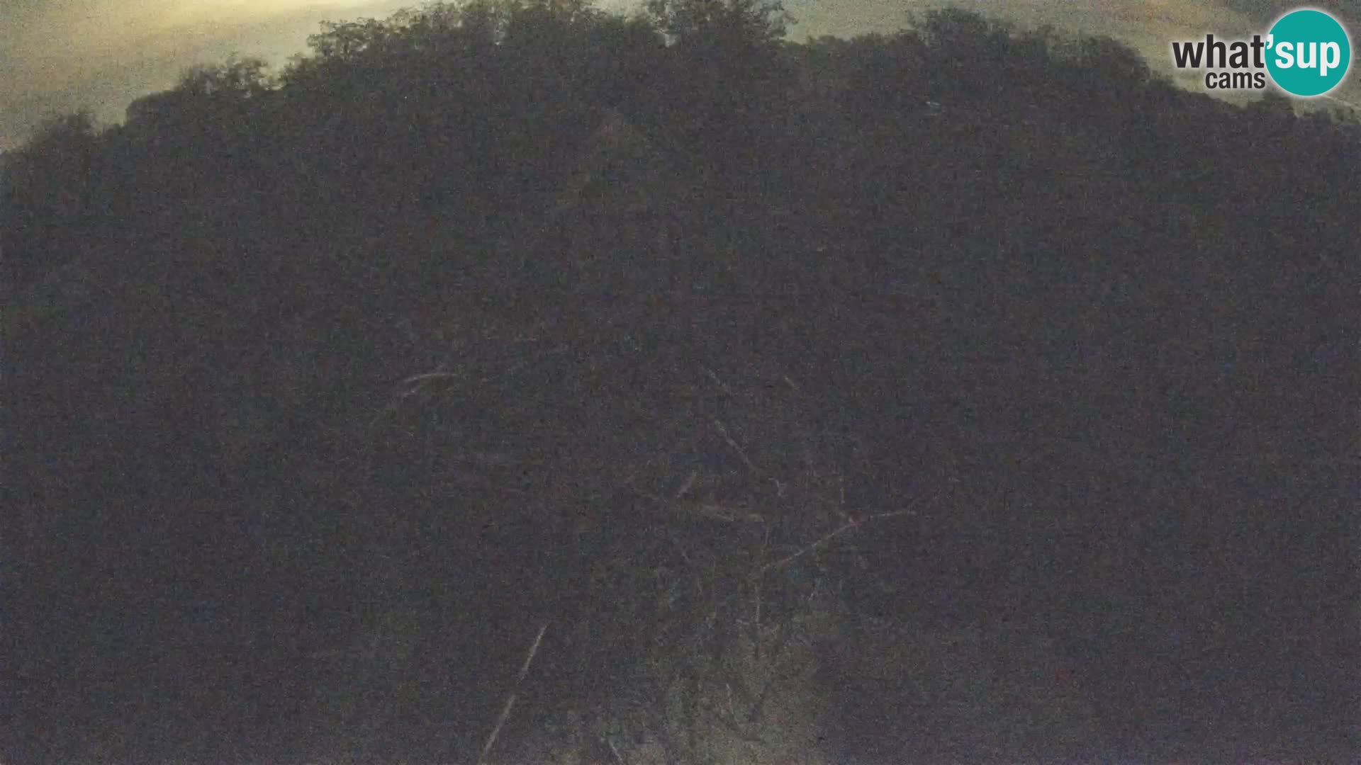 U živo Europsko selo roda – Park prirode Lonjsko polje