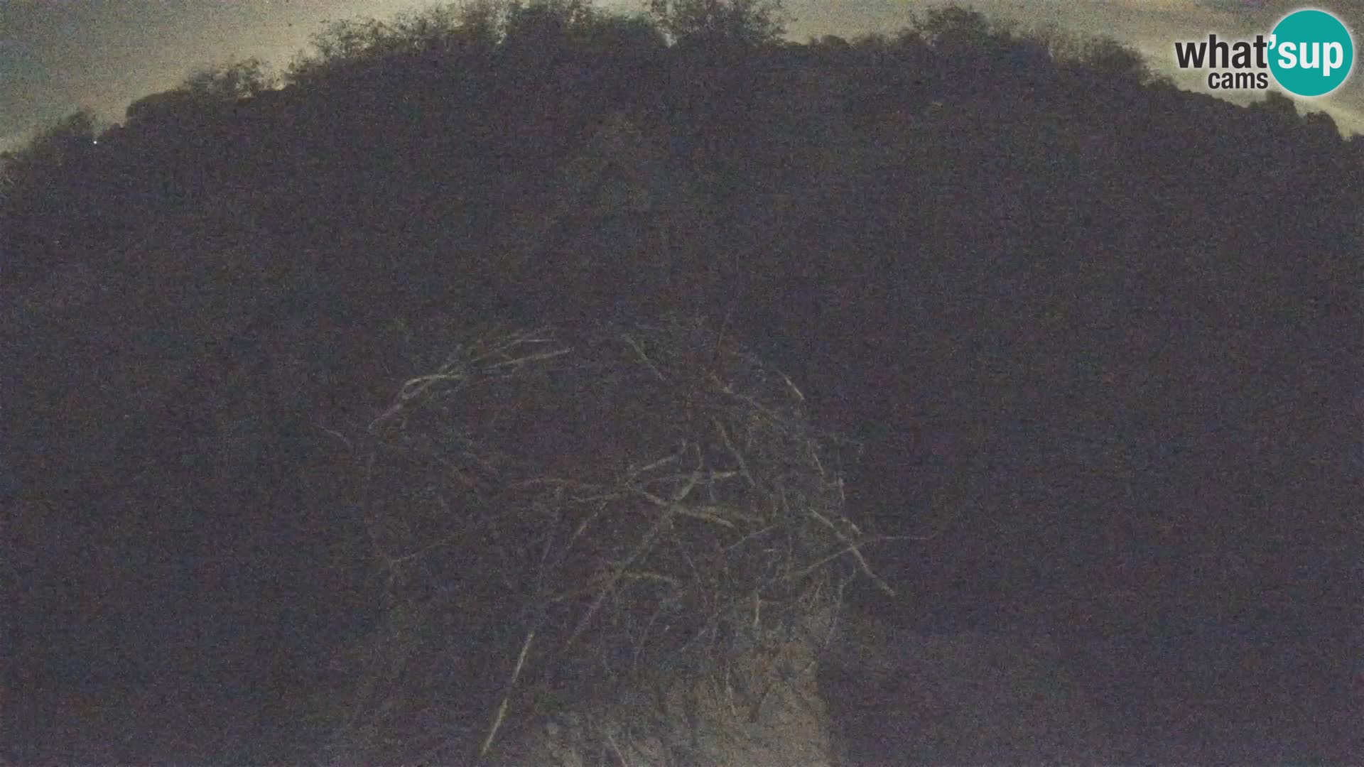 U živo Europsko selo roda – Park prirode Lonjsko polje