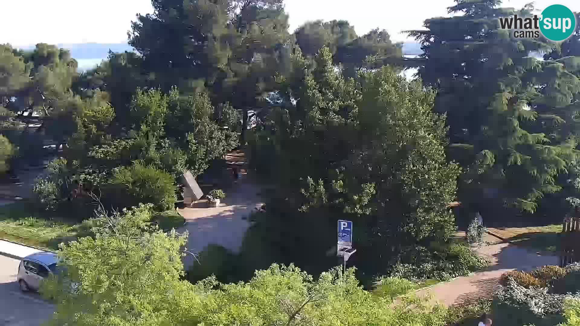 Crikvenica – Stjepan Radić square