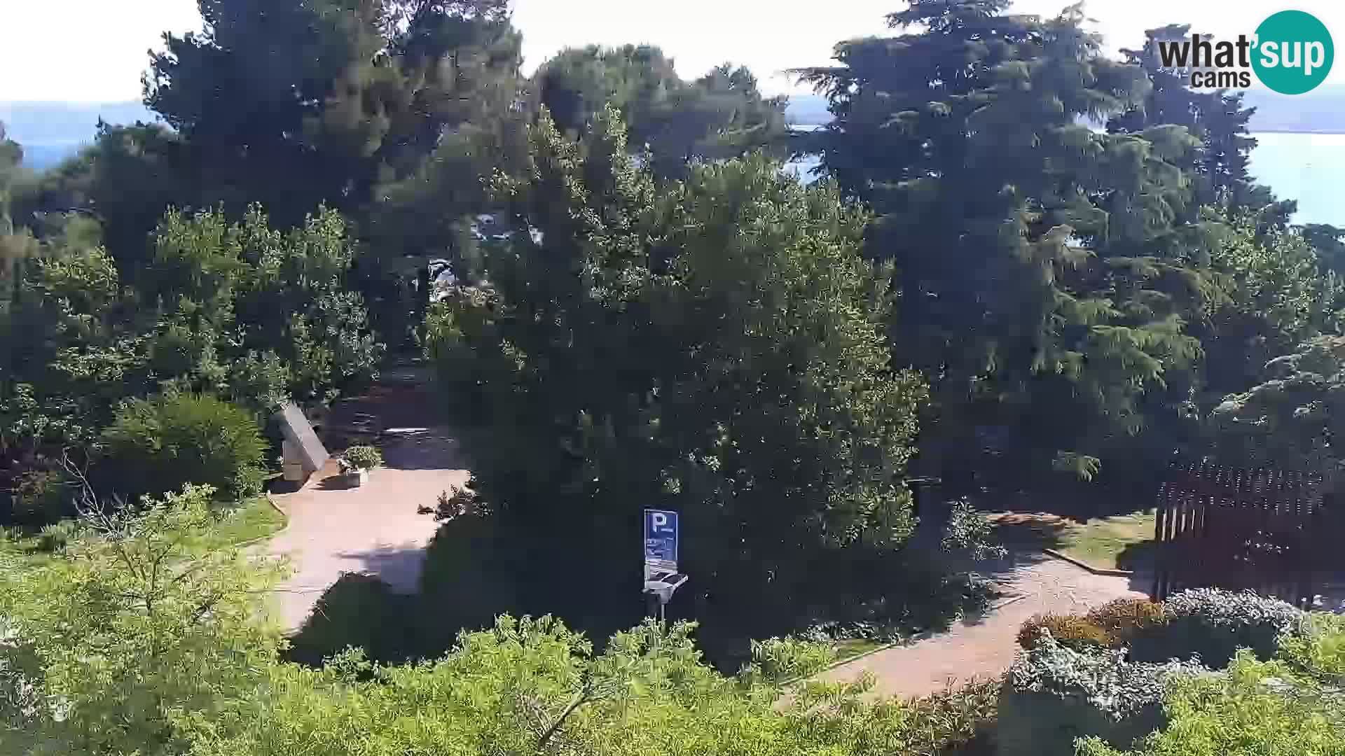 Crikvenica – Carré Stjepan Radić