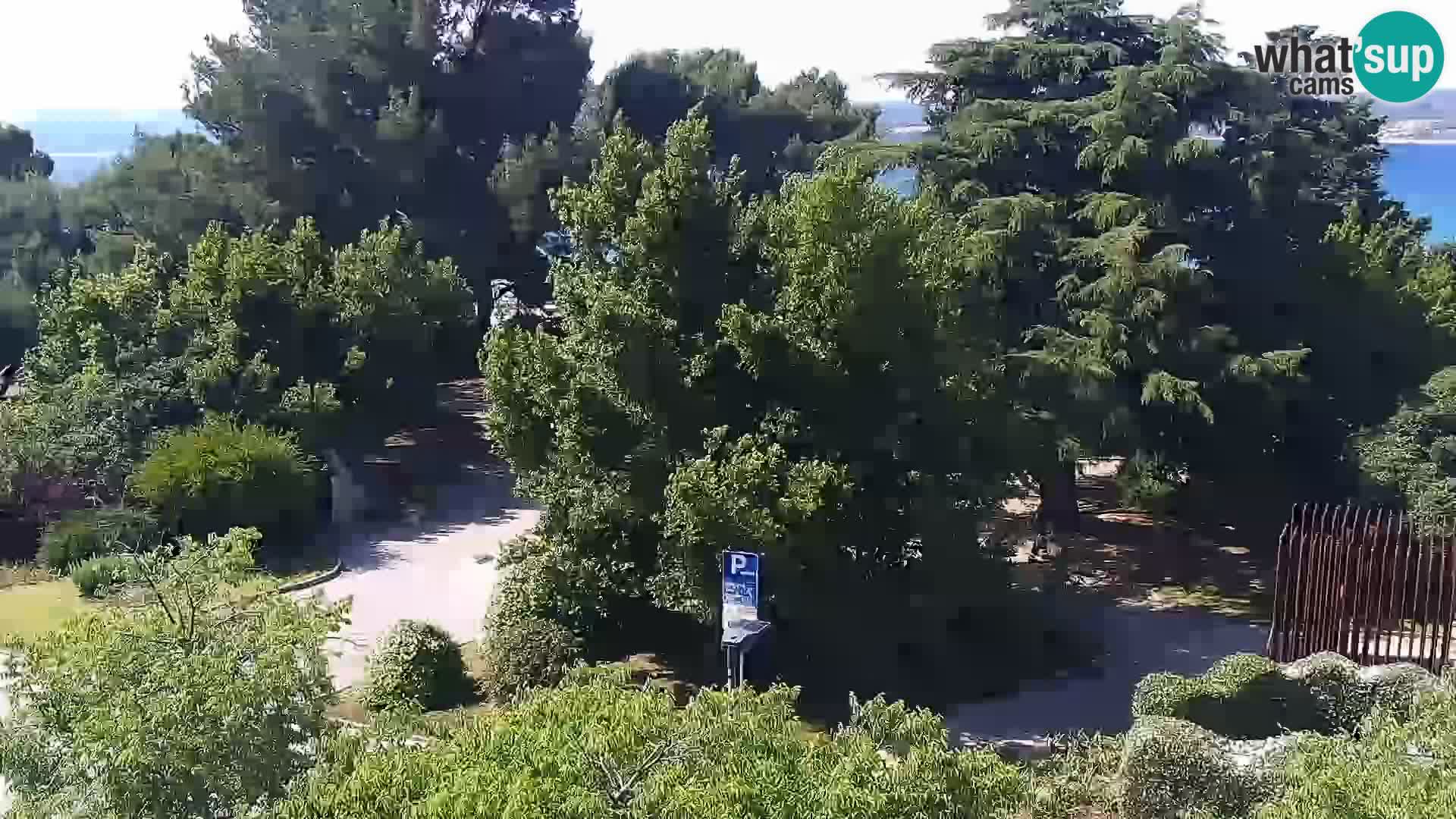 Crikvenica – Trg Stjepan Radić
