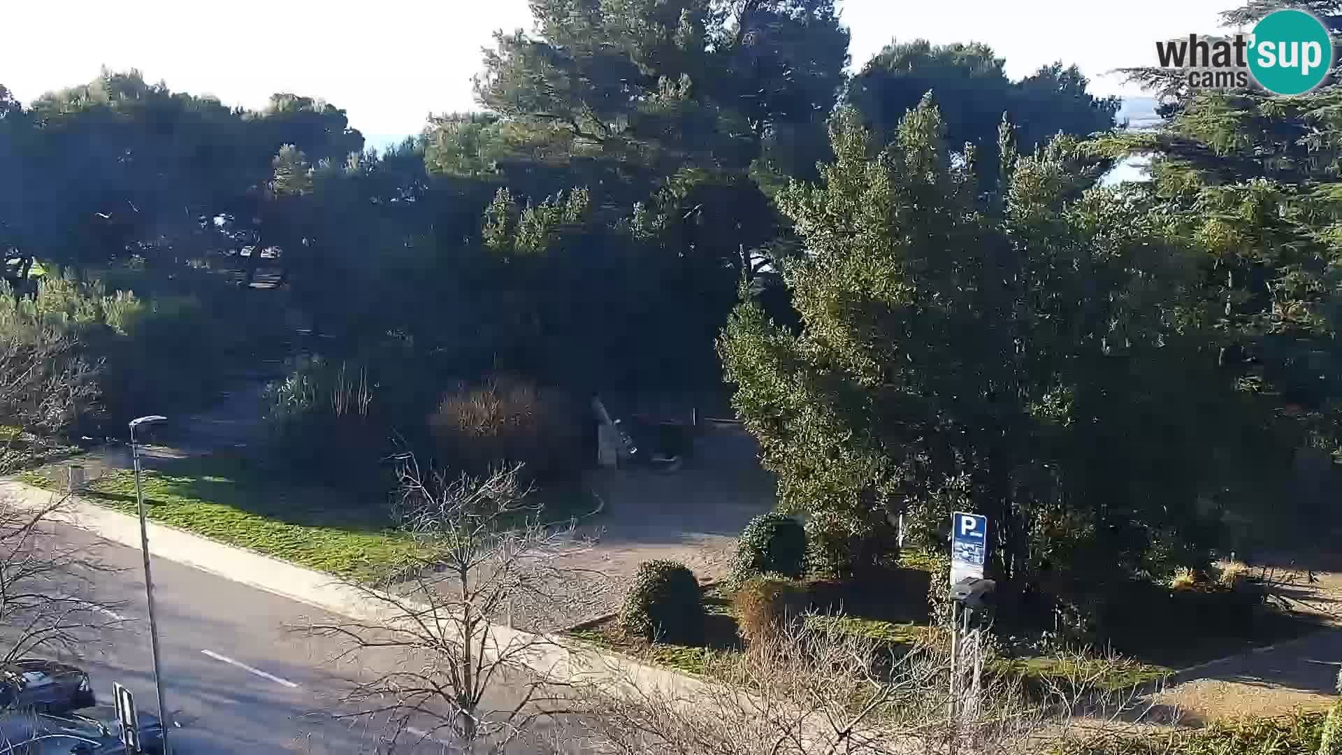 Crikvenica – Trg Stjepan Radić