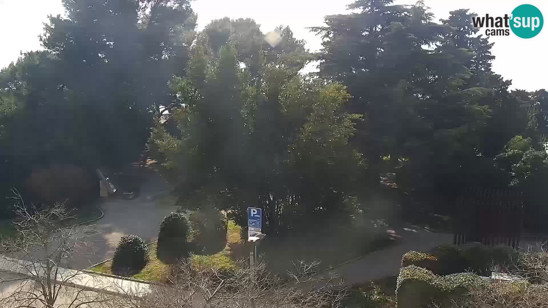 Crikvenica – Trg Stjepan Radić