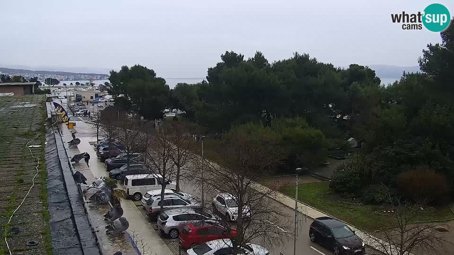 Webcam - Crikvenica