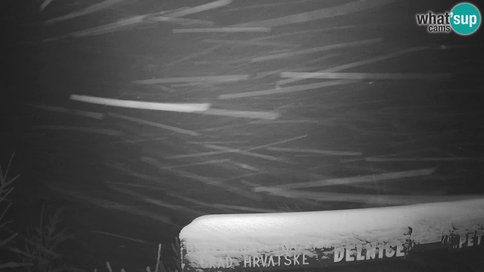 Kamera na żywo - Delnice