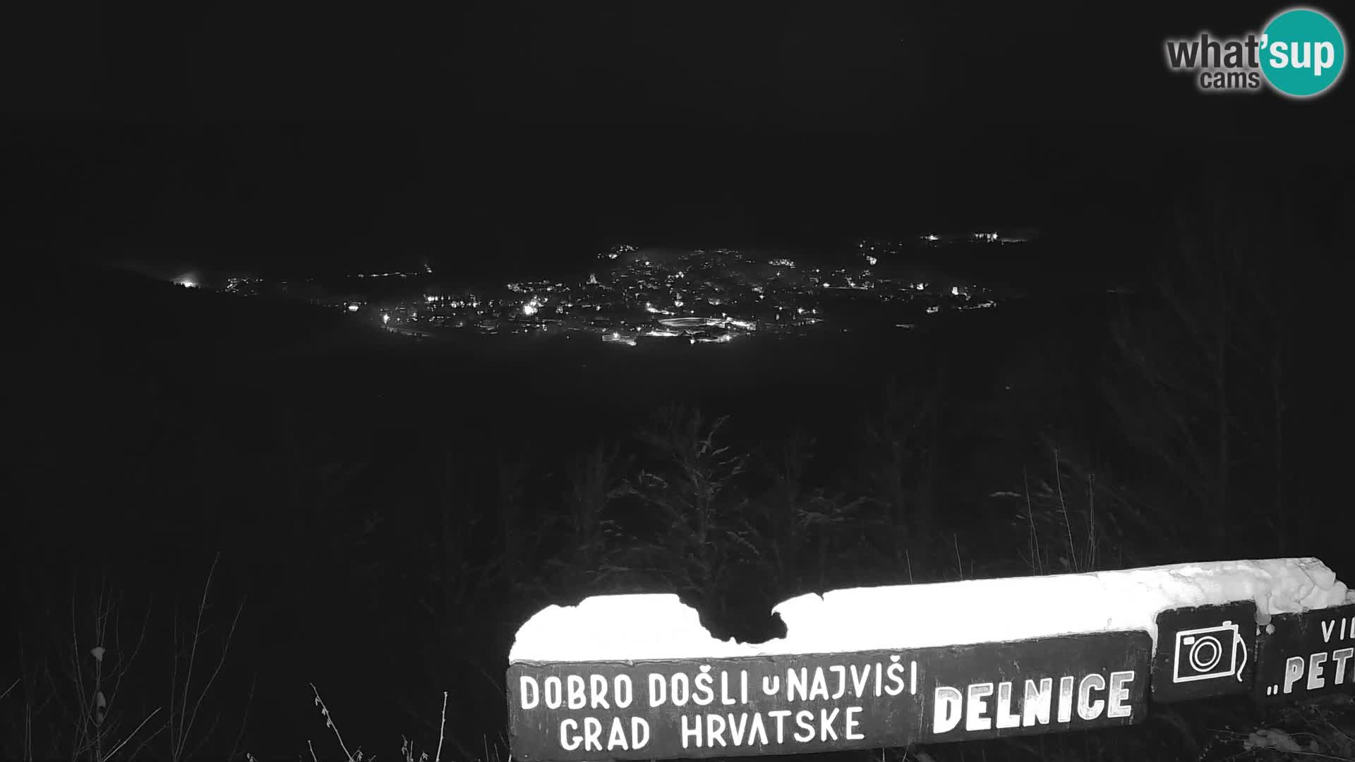 Web kamera - Delnice