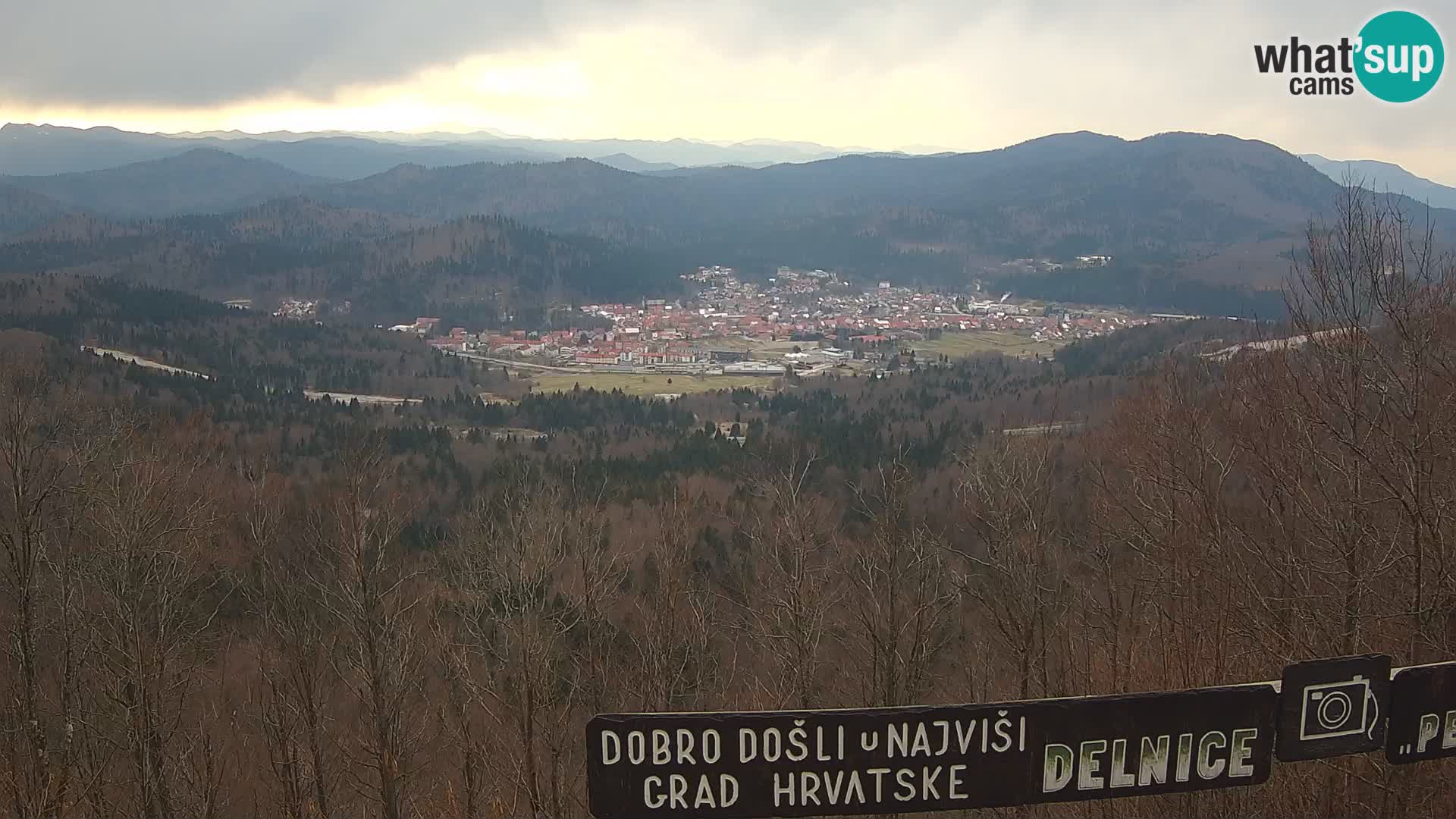 Webcam - Delnice