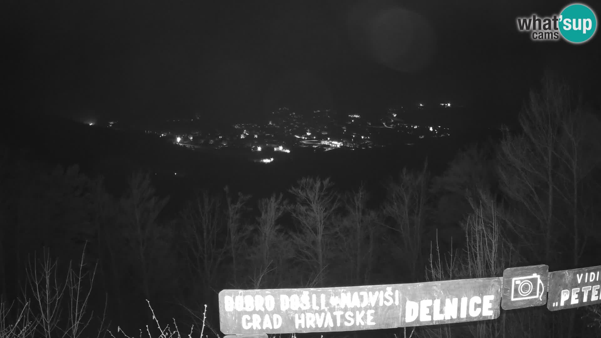 Webkamera - Delnice