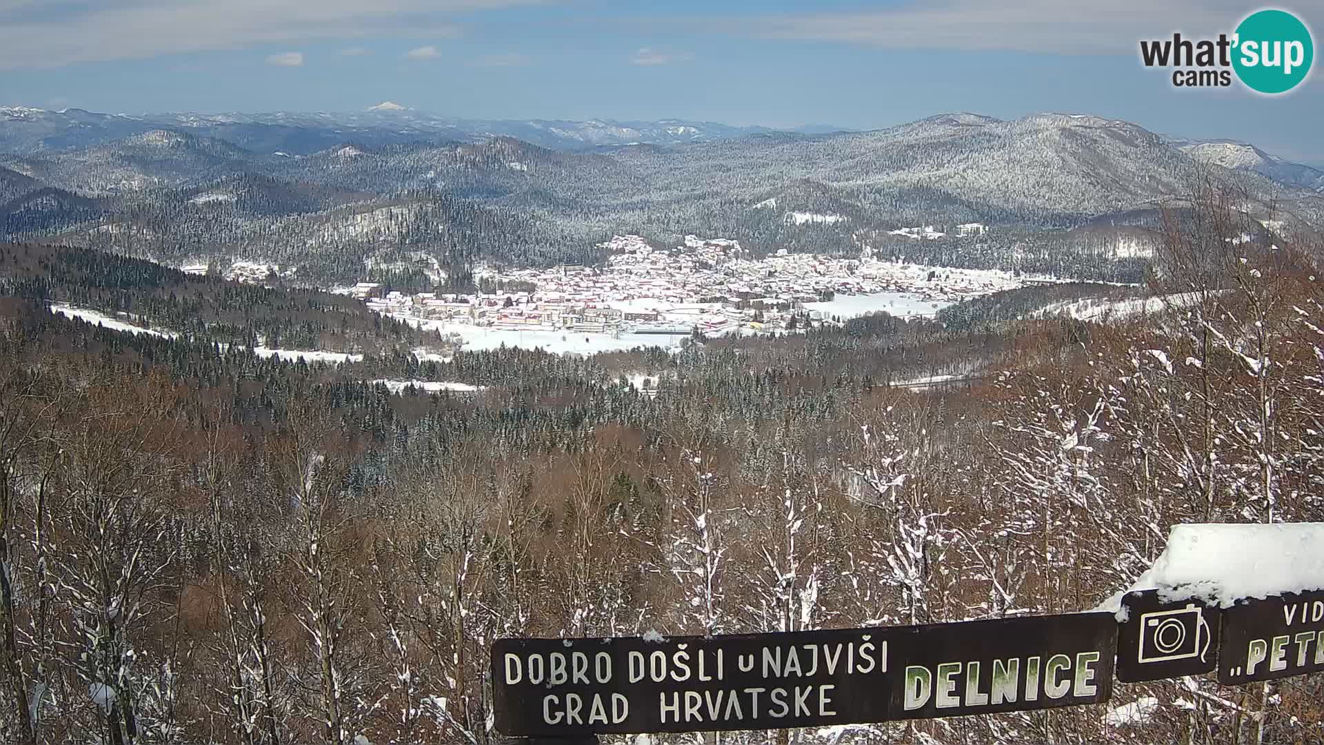 Web kamera - Delnice