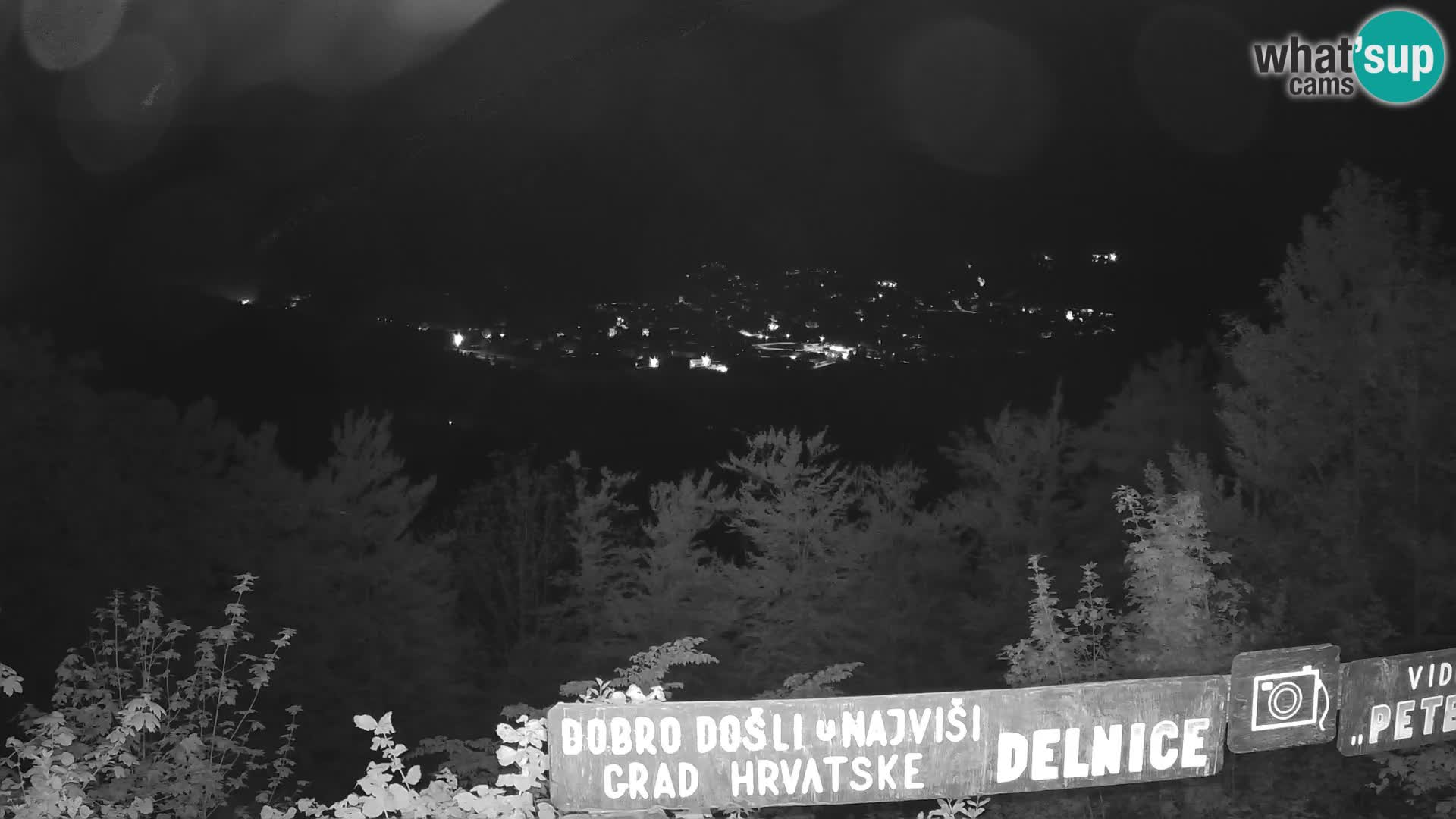 Webcam - Delnice