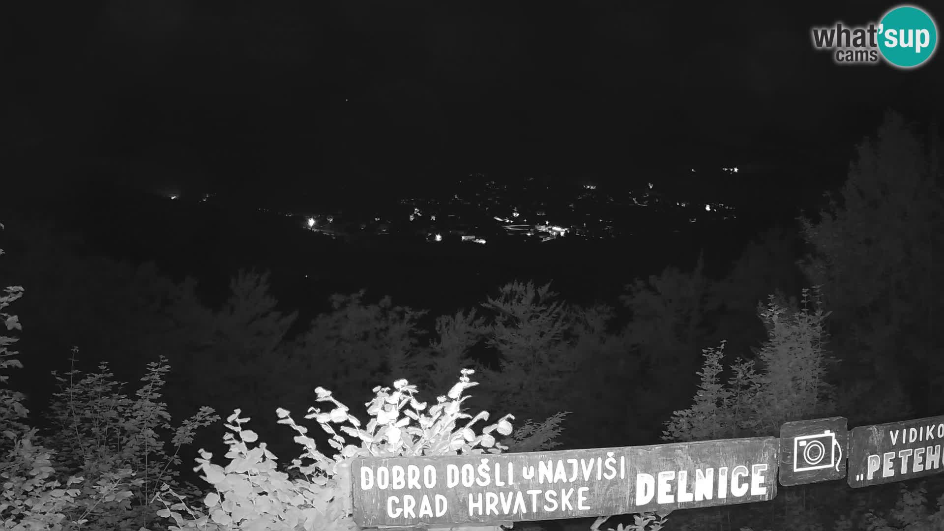 Webcam - Delnice