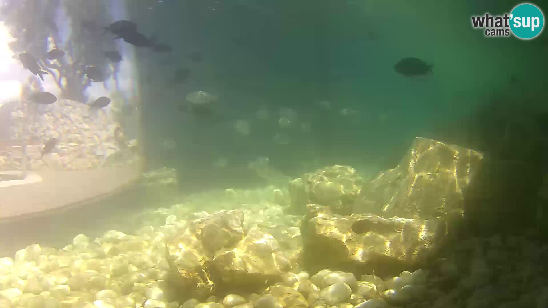 Marine Aquarium im Freien Rogoznica webcam Kroatien