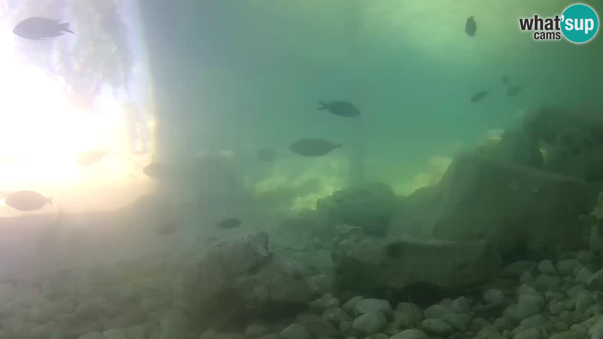 Marine Aquarium im Freien Rogoznica webcam Kroatien