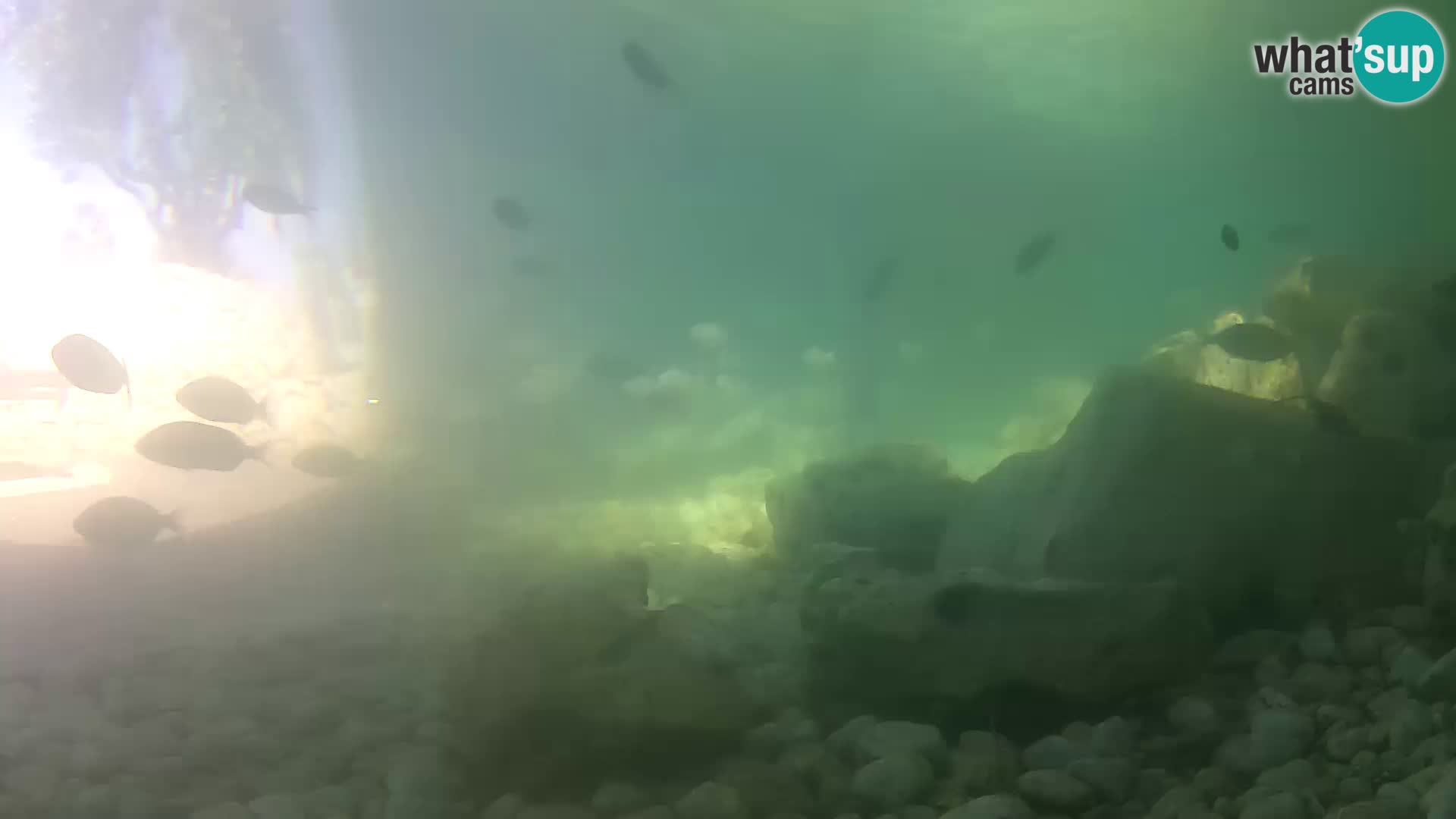 Marine Aquarium im Freien Rogoznica webcam Kroatien